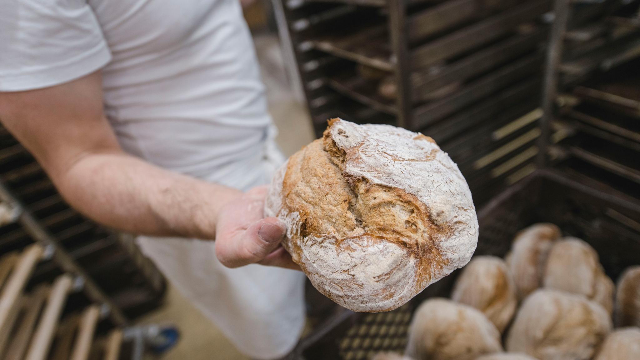 GRAFMÜHLE - Bioholzofenbäckerei & Biomühle & Seminarraum & Coaching