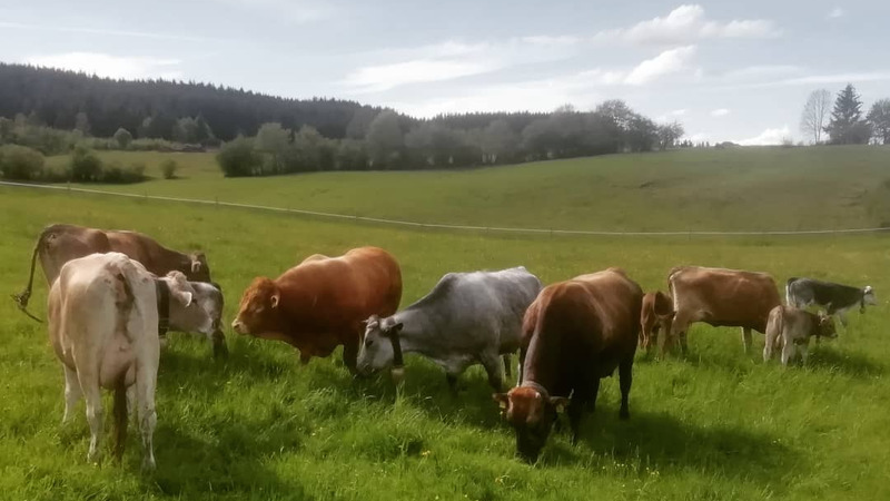 Biohof Samenfink