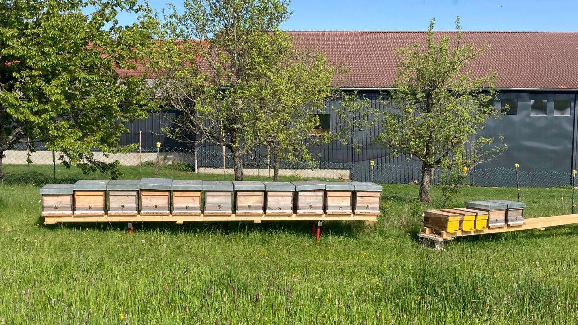Imkerei Kufer