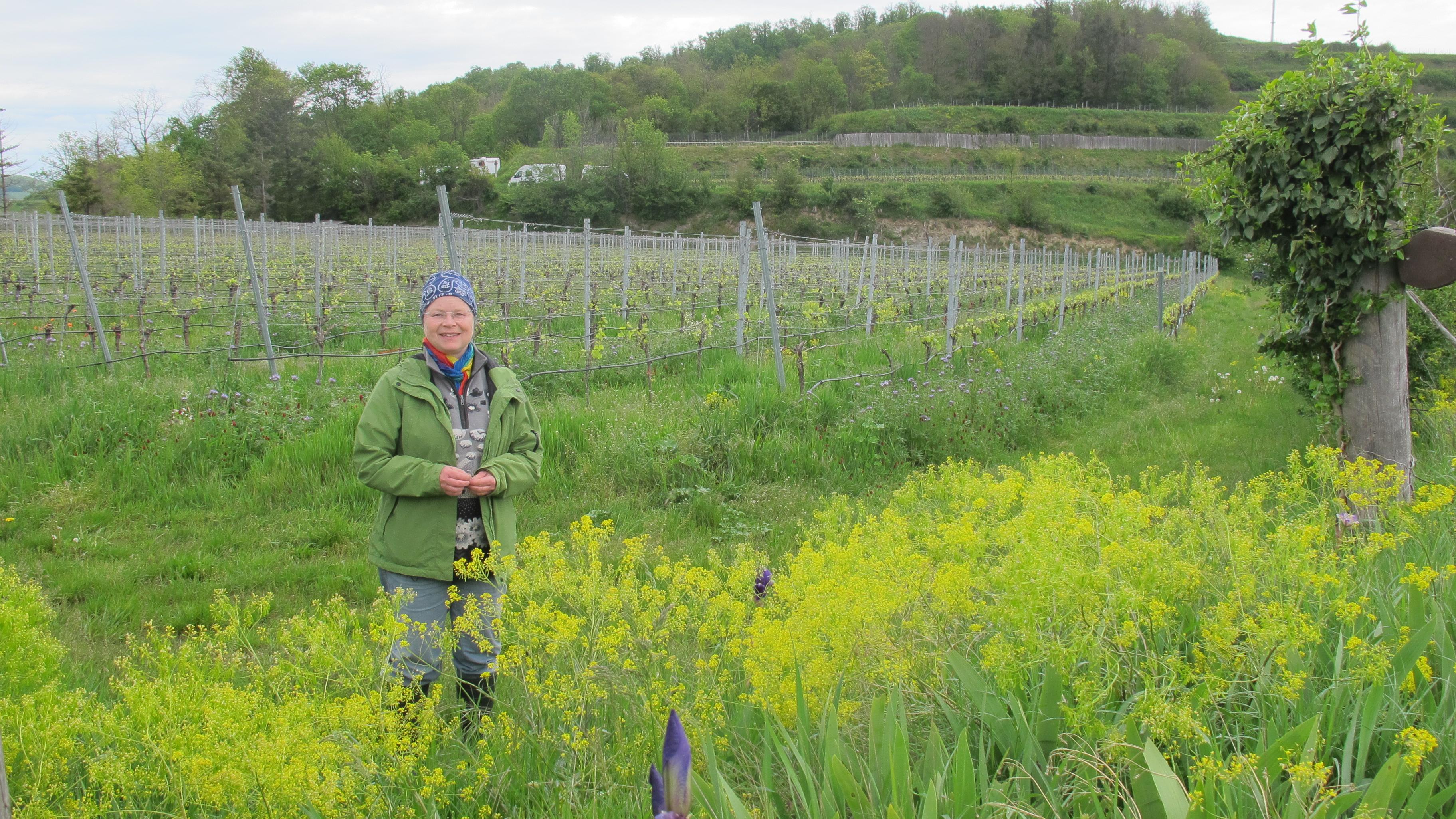 Ökologisches Weingut Rabenhof