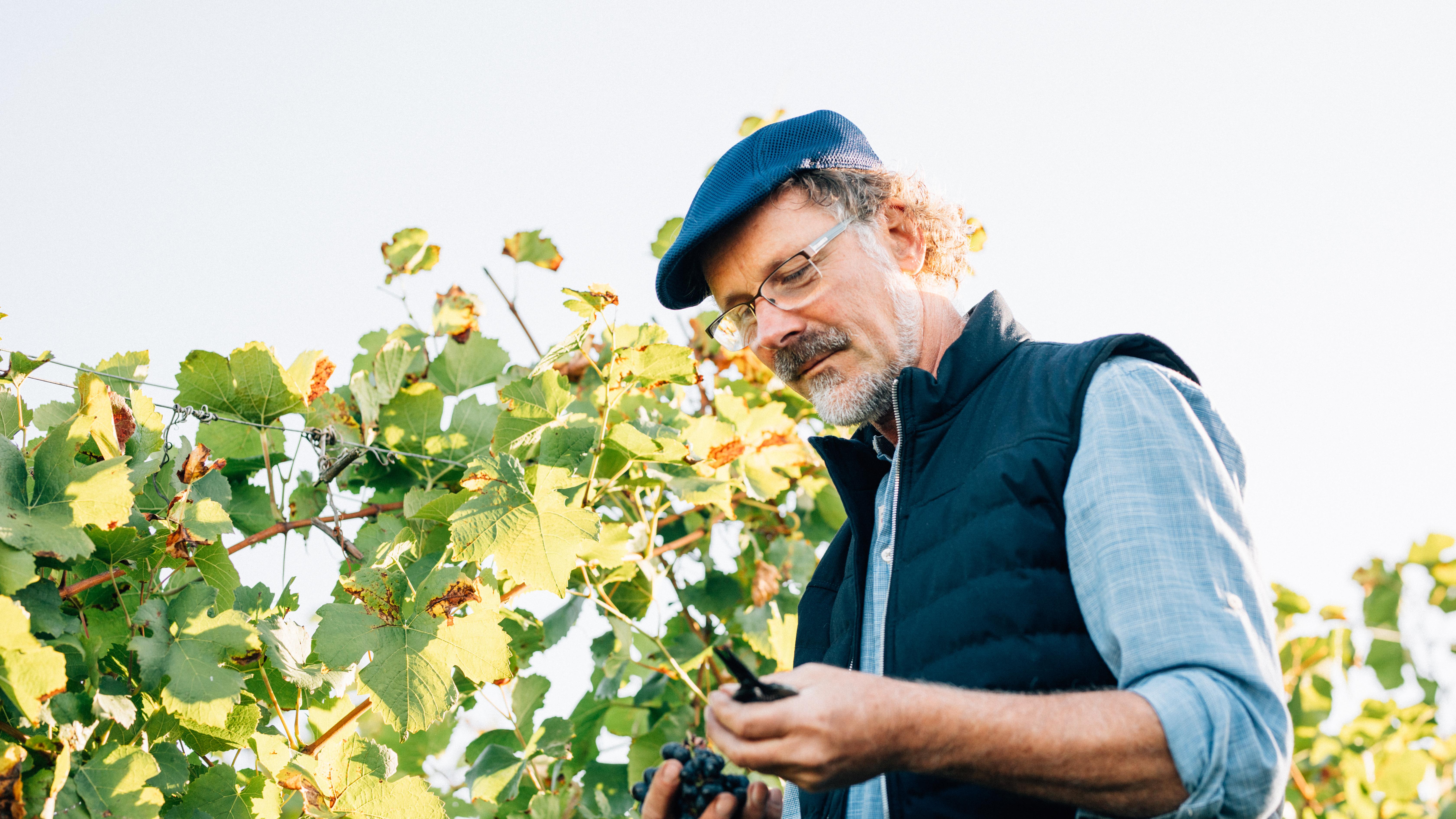 Weingut Thomas Harteneck
