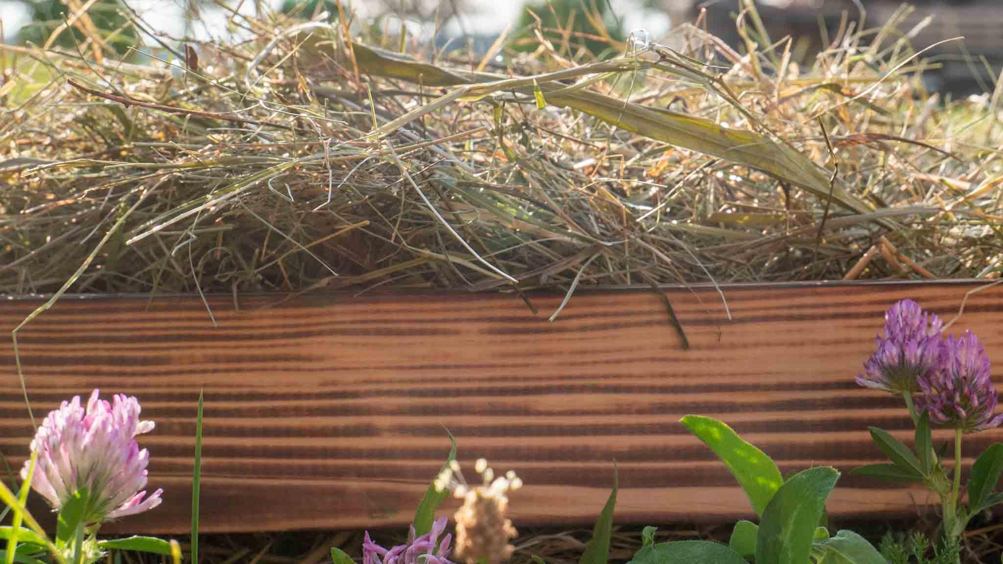 Seenländer WIESENGUT