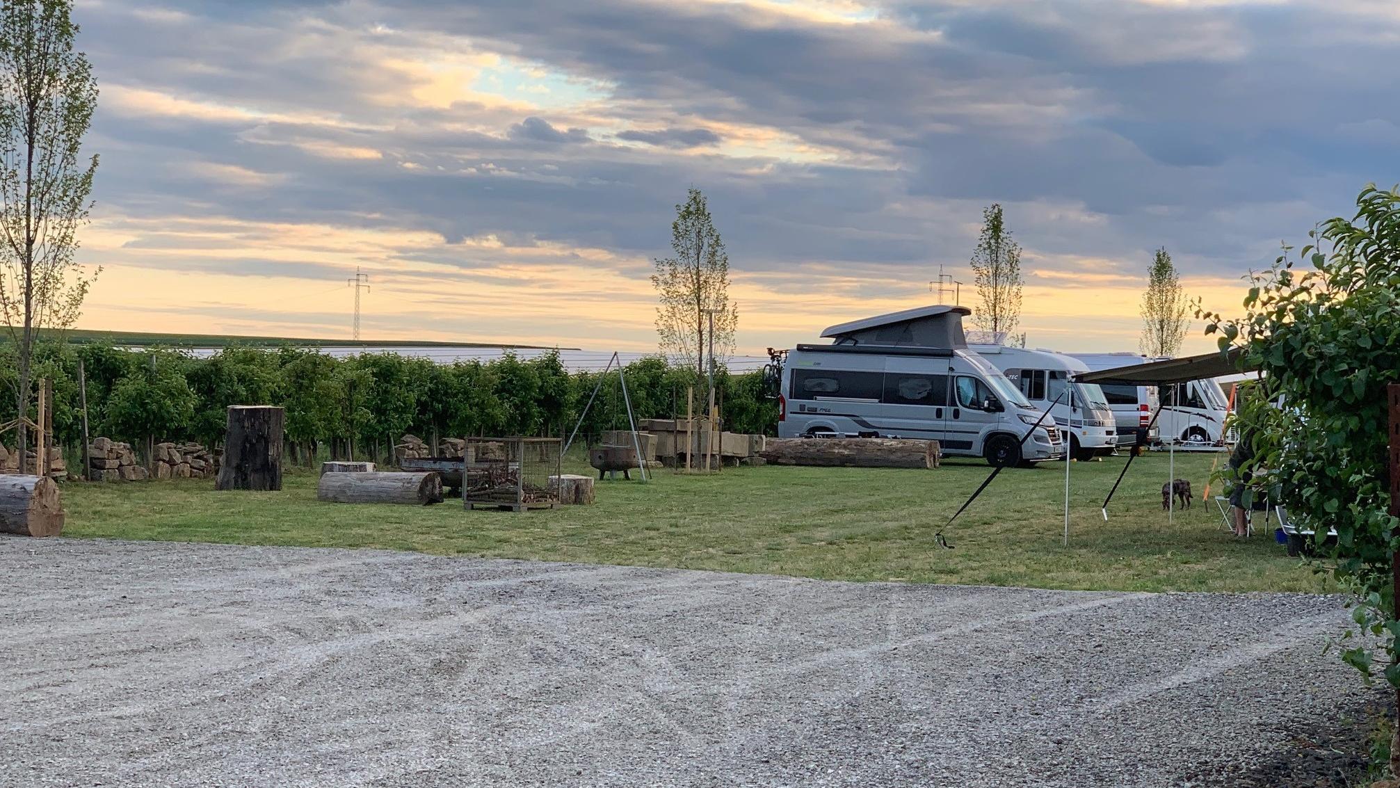 Weingut Schmitt Bergtheim