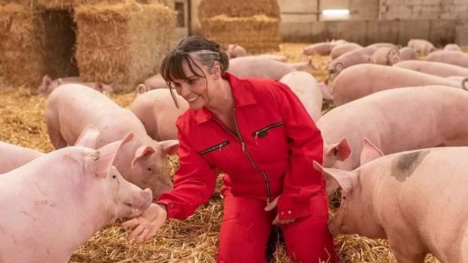 Familie Mörixmann Aktivstall für Schweine