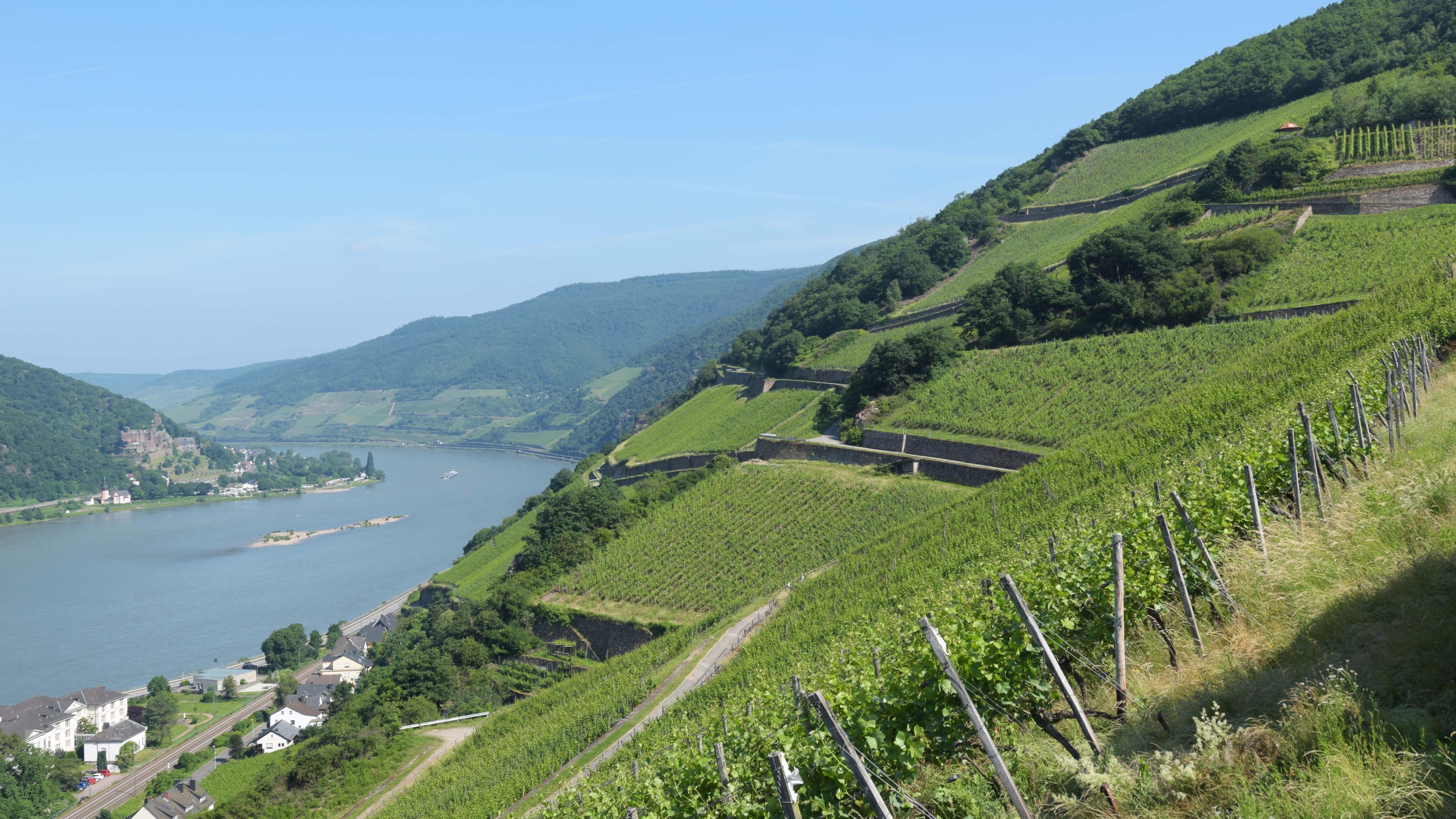 Weingut und Weinhaus August Kesseler