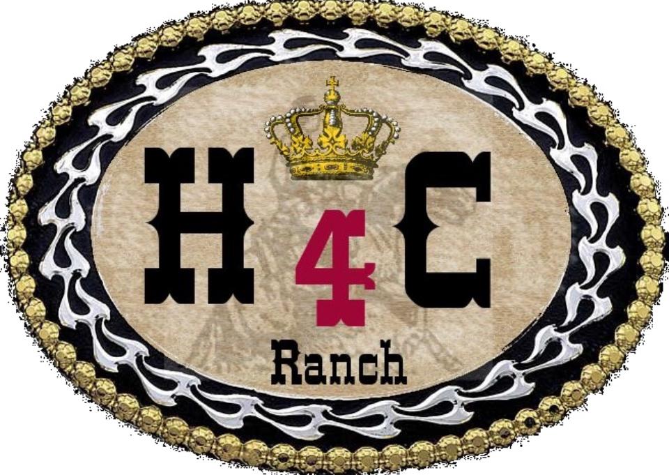 Horse 4 C-Ranch