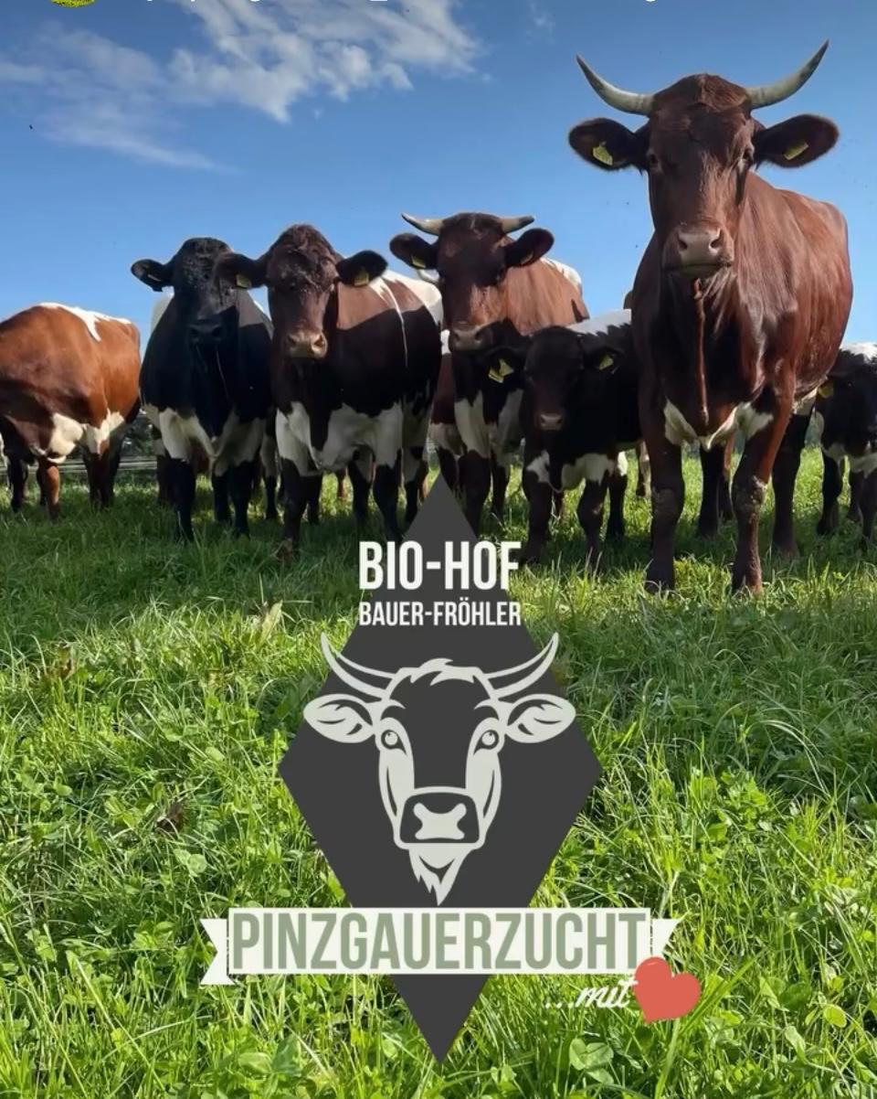 Pinzgauerzucht - Bio Weidefleisch aus Tittling