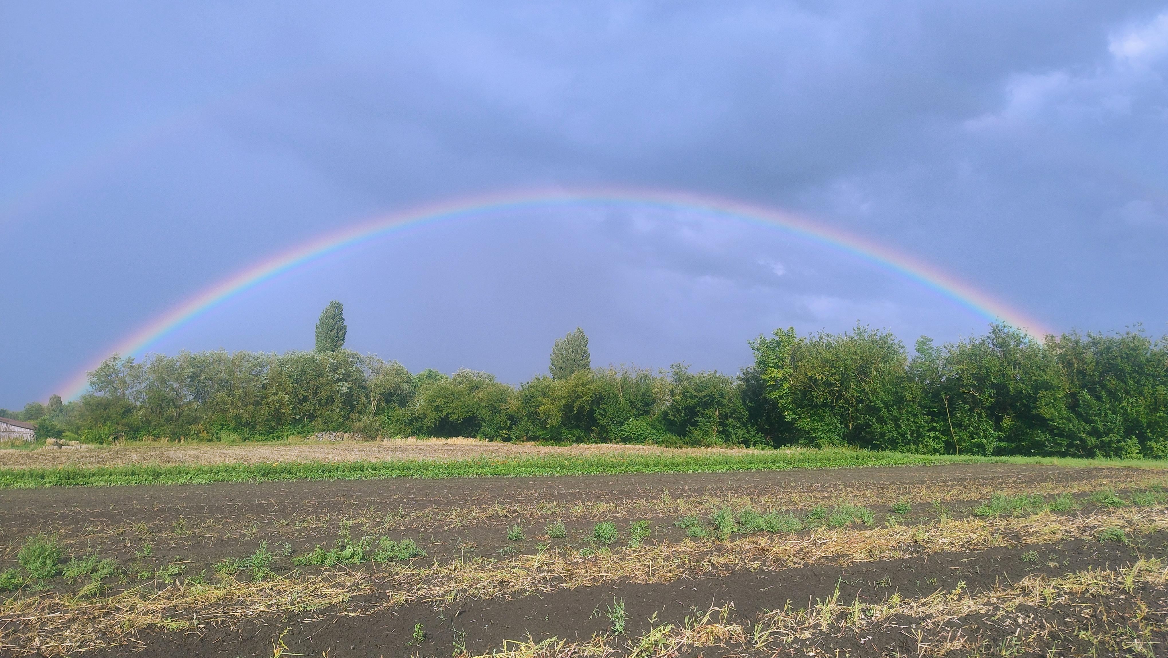 Ingerl, Straubing