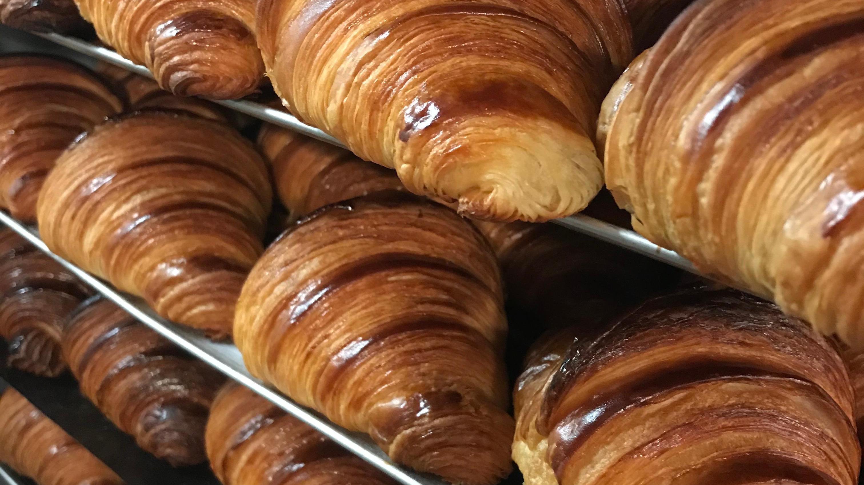 Backstein - Bäckerei für zeitgenössisches Brot GmbH