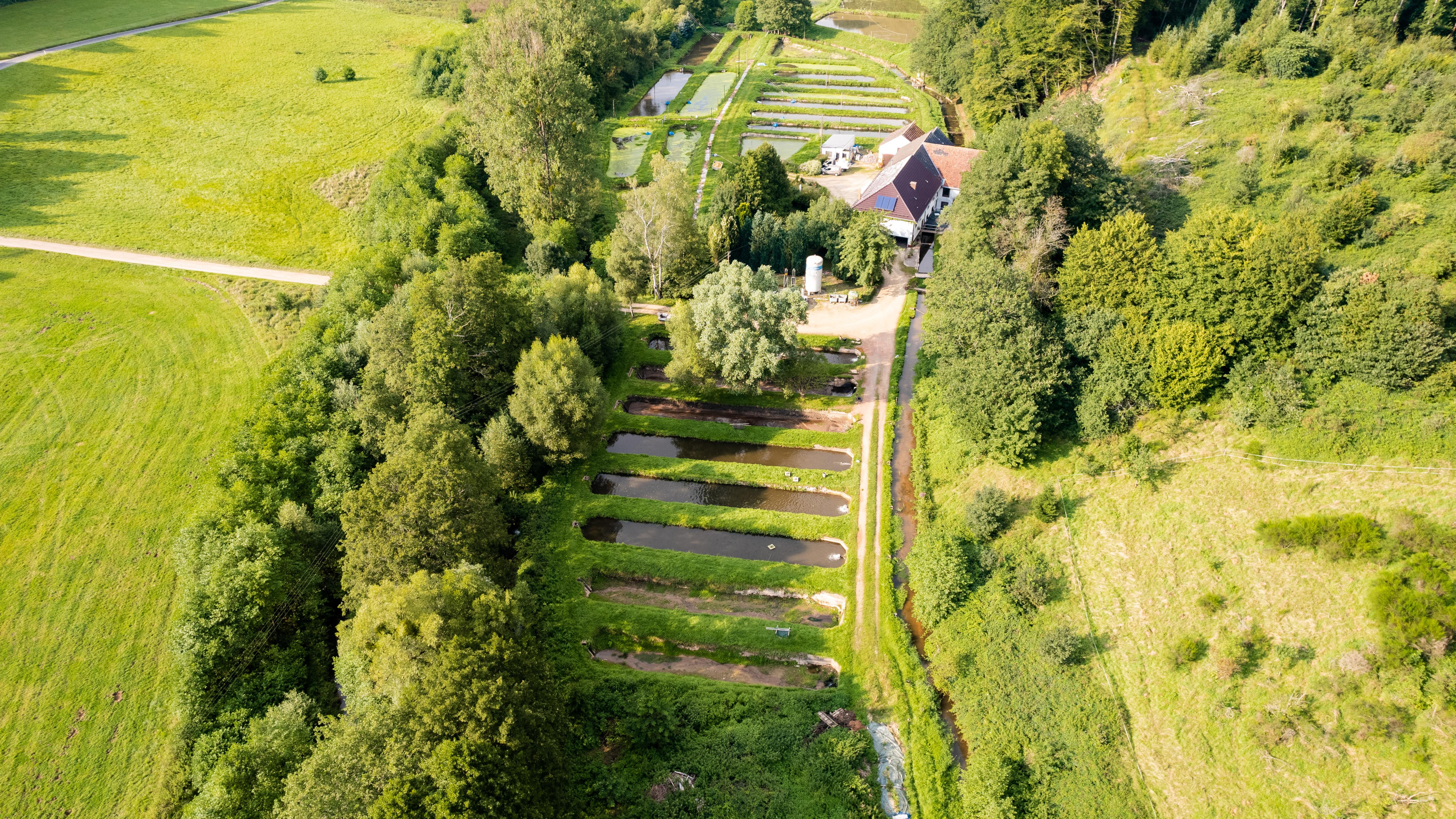 Forellengut Rosengarten