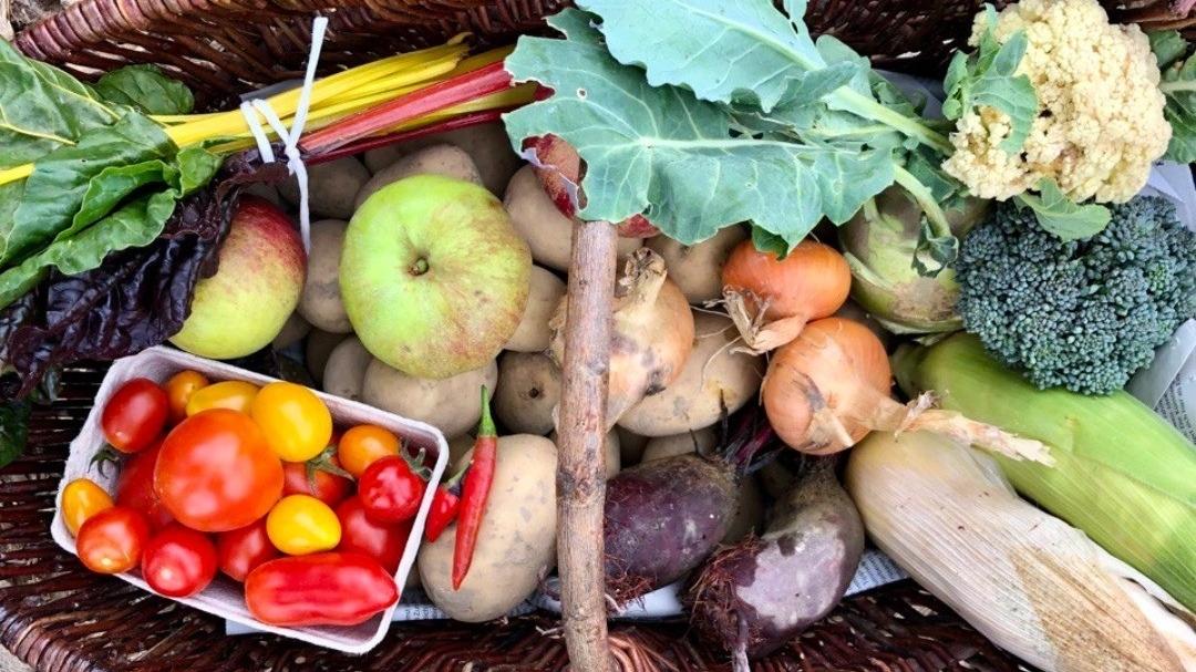 SoLaWi MaNa - Allgäu