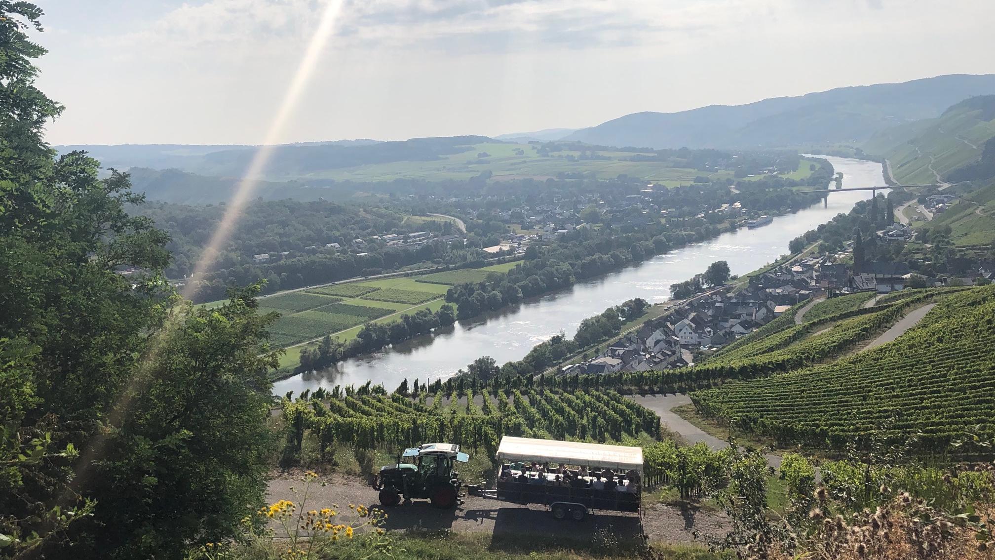 Wein- und Gästehaus Genetsch