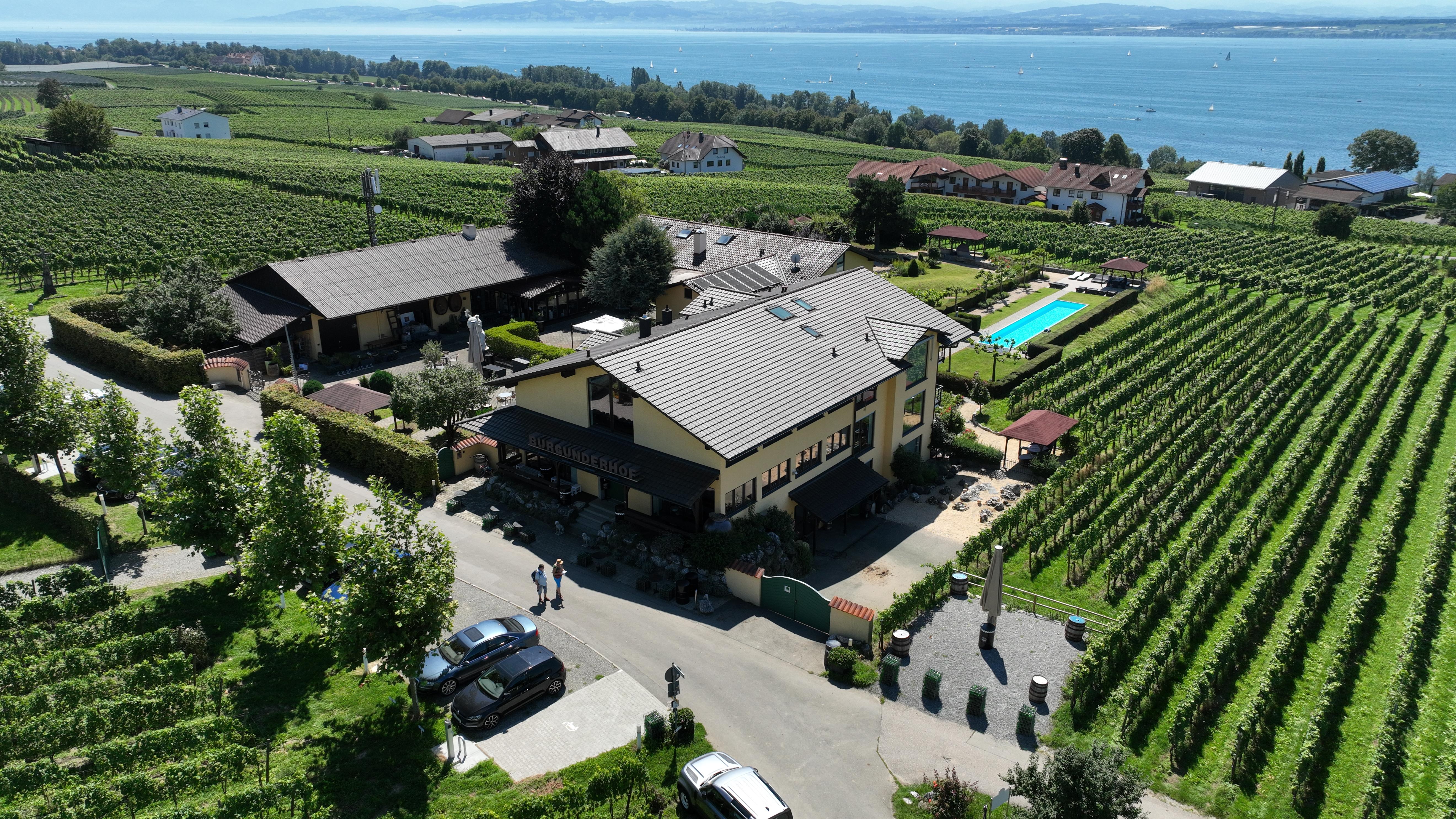 Burgunderhof Hagnau - Bio-Weingut, Destillerie & Weinlounge