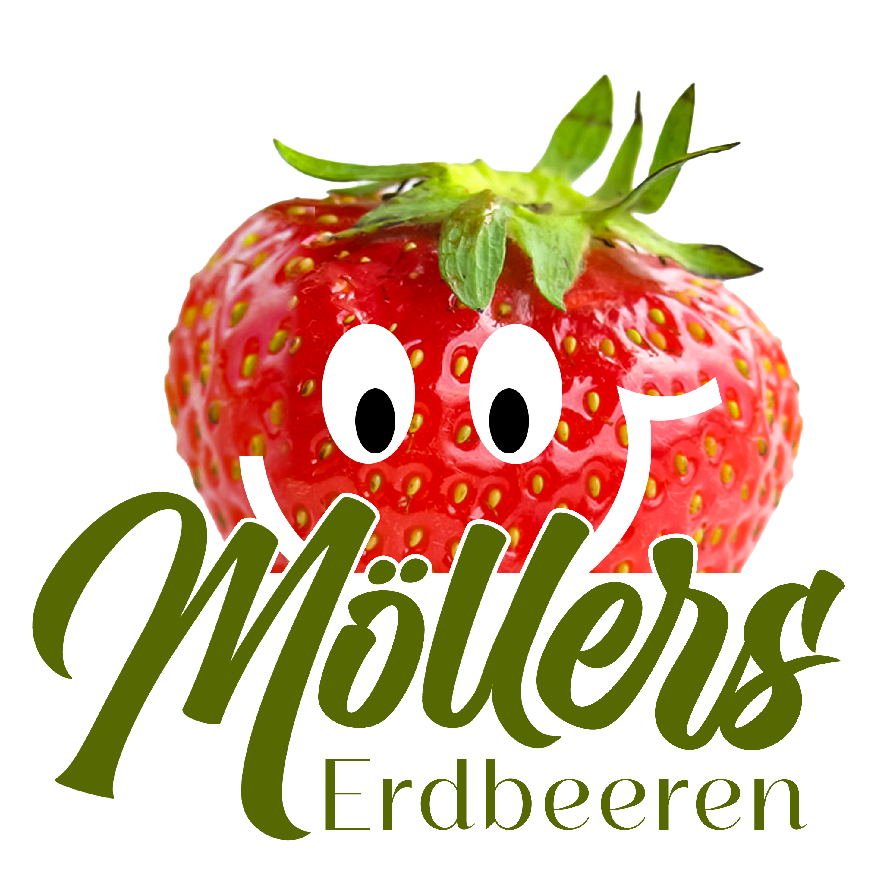 Erdbeeren Möllers