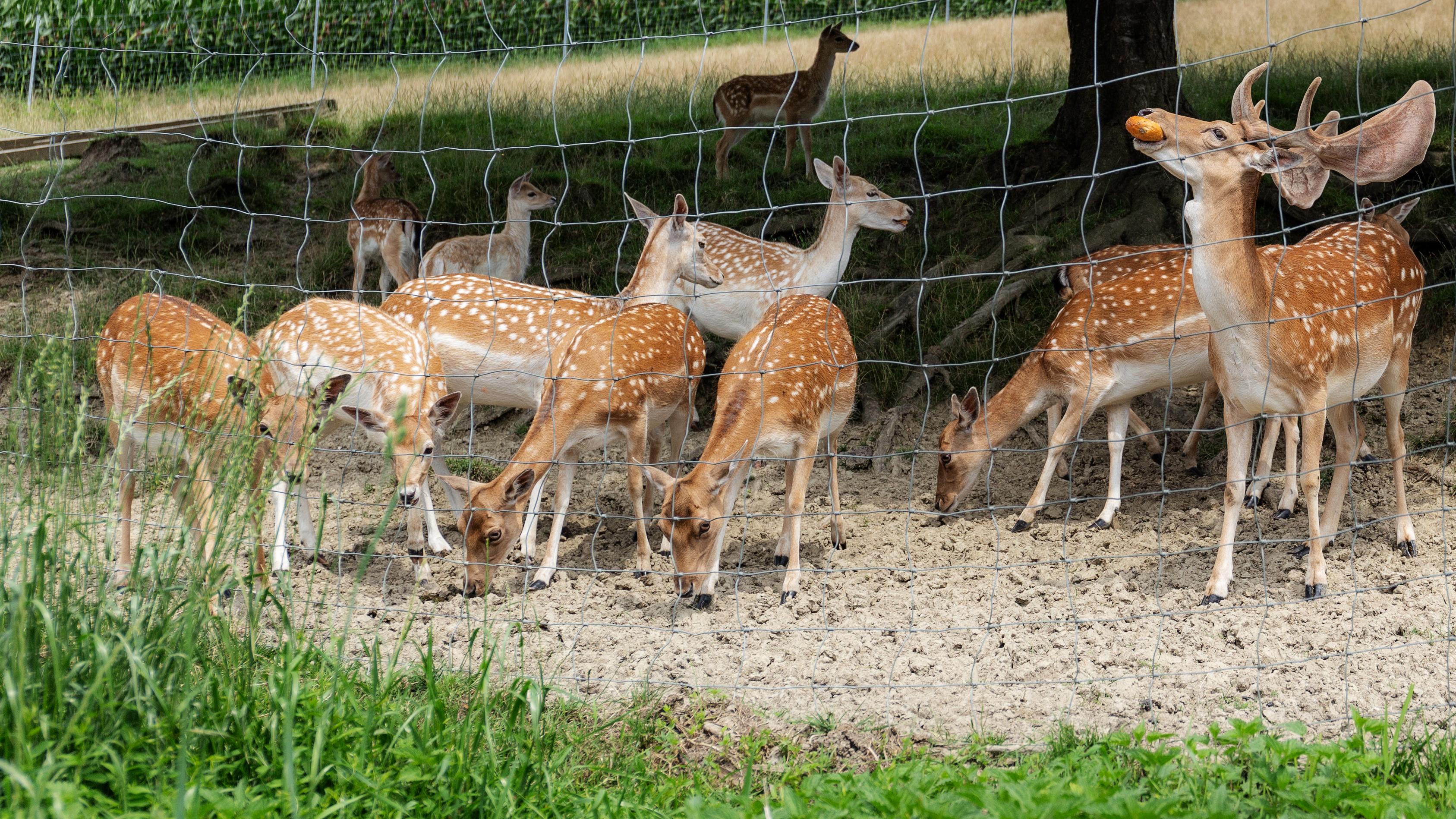 Winklhofer's Hofladen