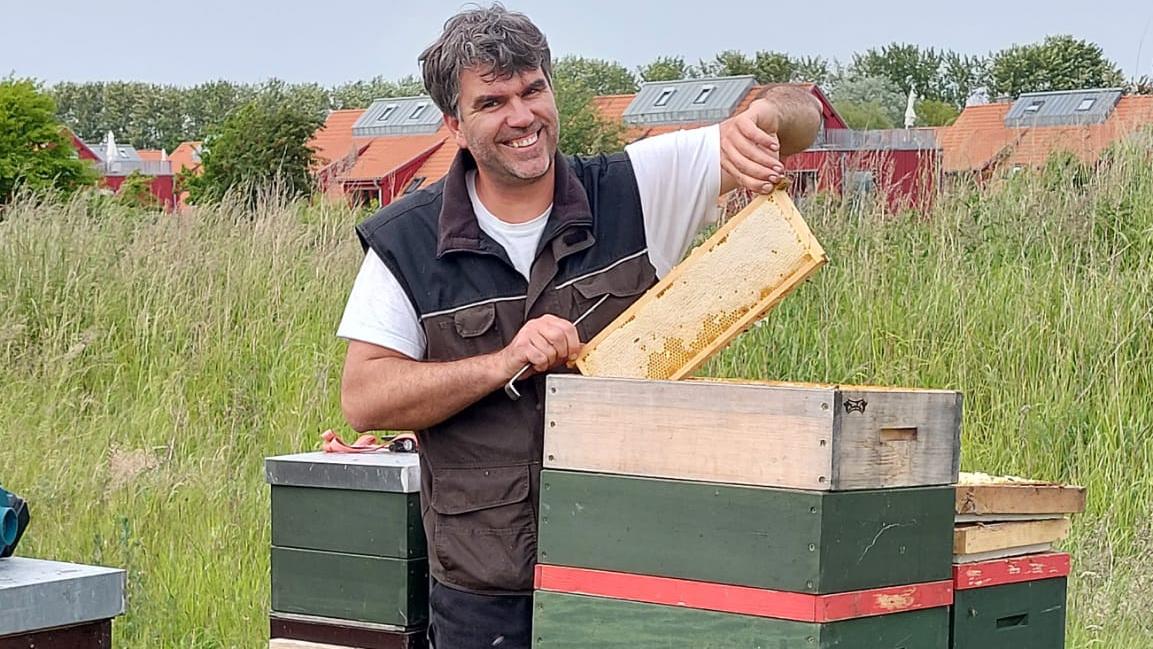 Der Bienen Fischer