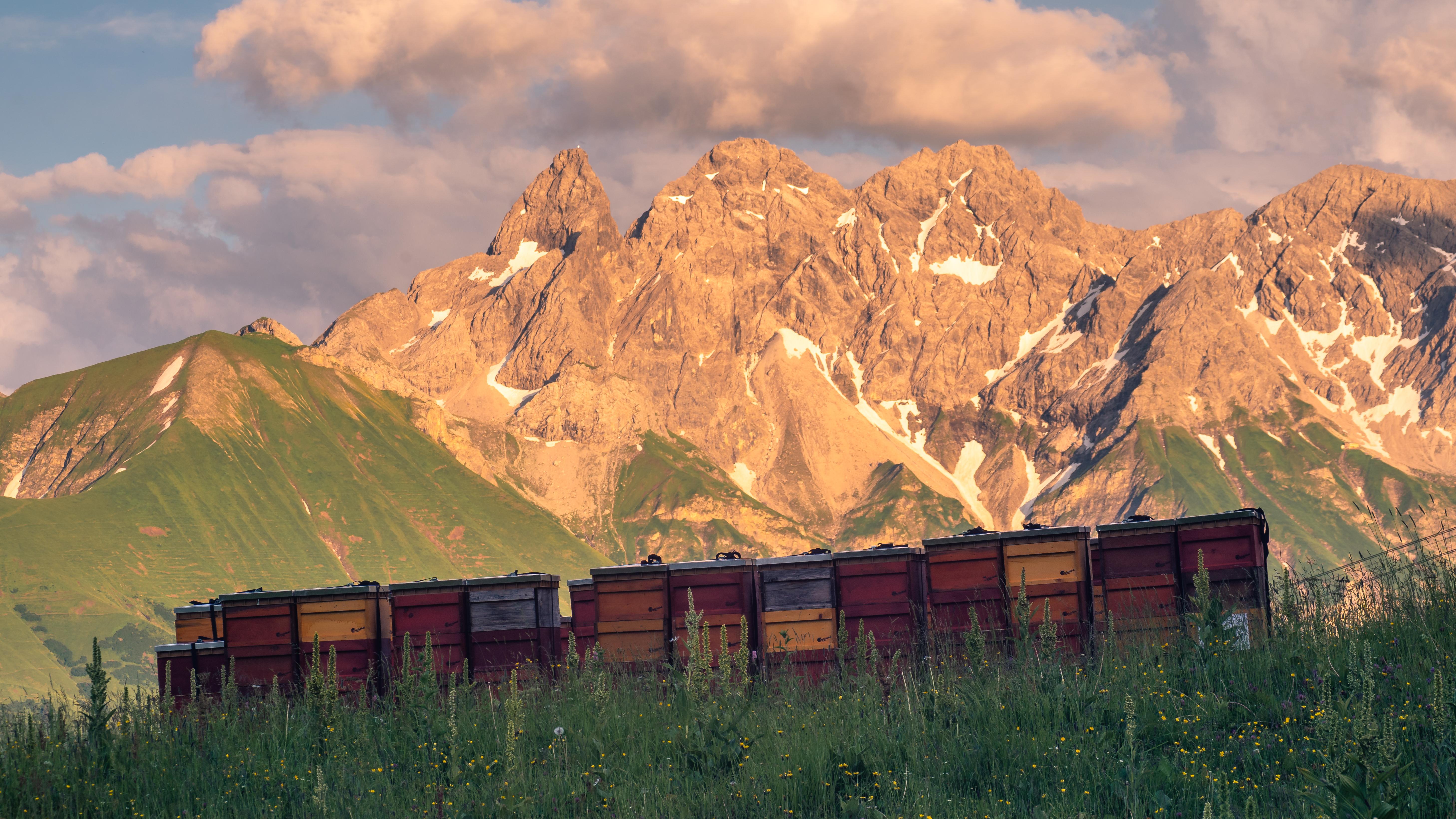 PURALP - Allgäuer Bienenprodukte & Heilkräuter