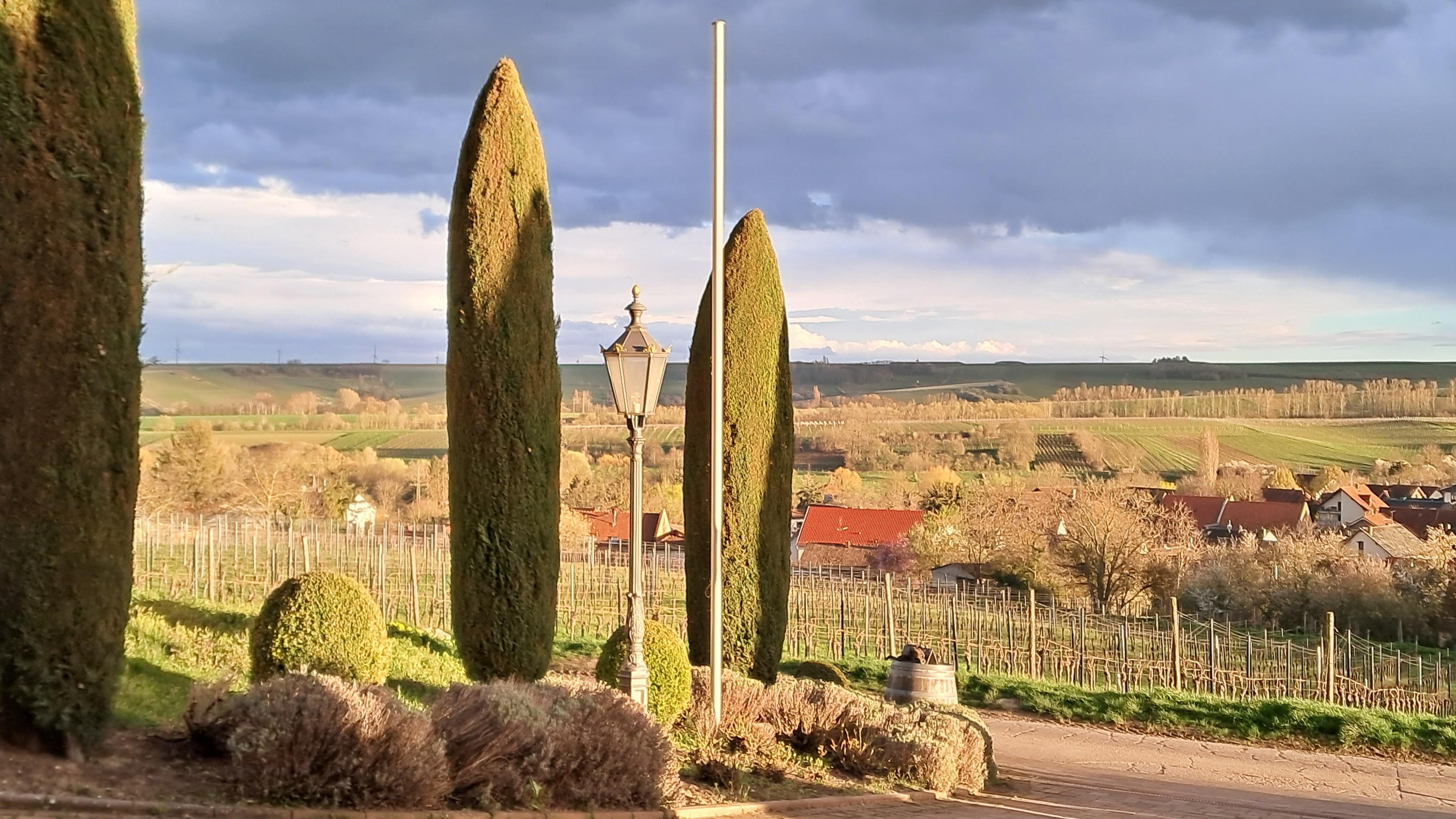 Weingut Diehl-Blees