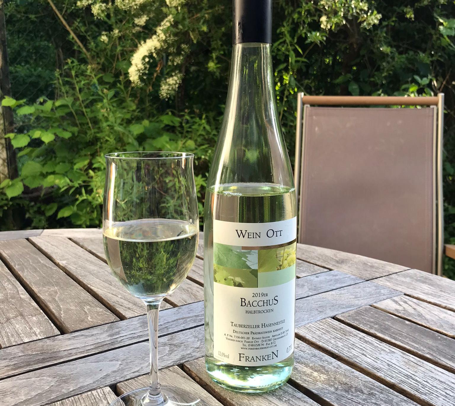 Weinbau und Ferienhof Ott