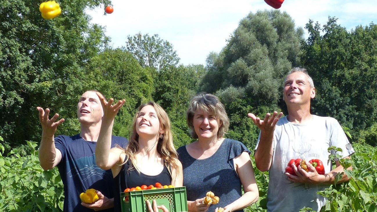 Biohof Laurer