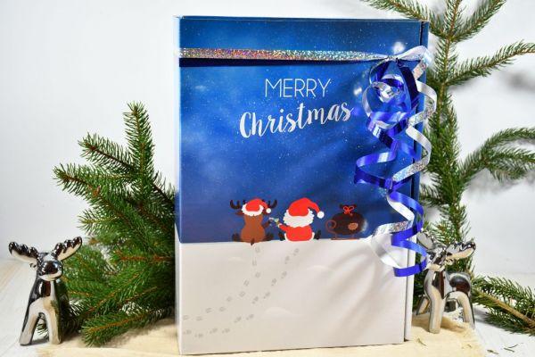 Geschenkkarton "Rentier + Santa"