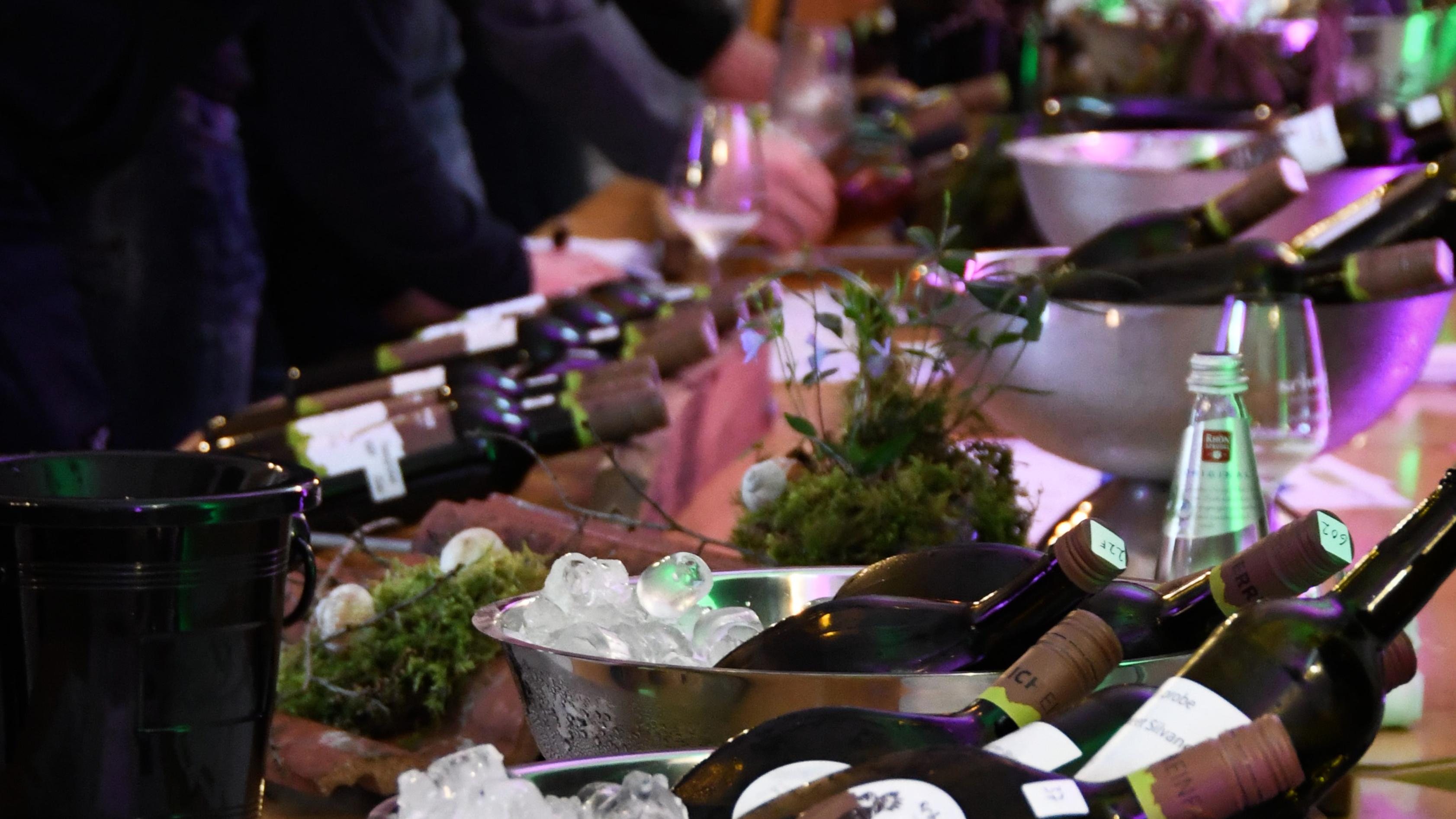 Frühlings-Weinverkostung