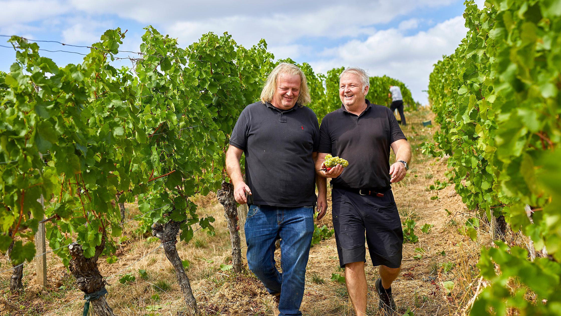 Bio-Weingut Laudens Bach