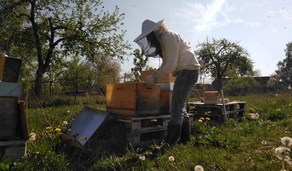 Bienenliebe Bio-Imkerei Dr. Tanja Schneeweis