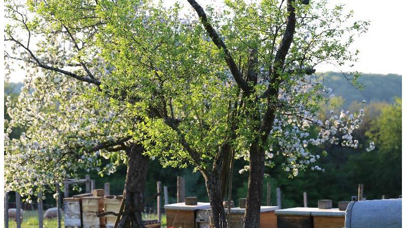 Biolandhof Luchert 25