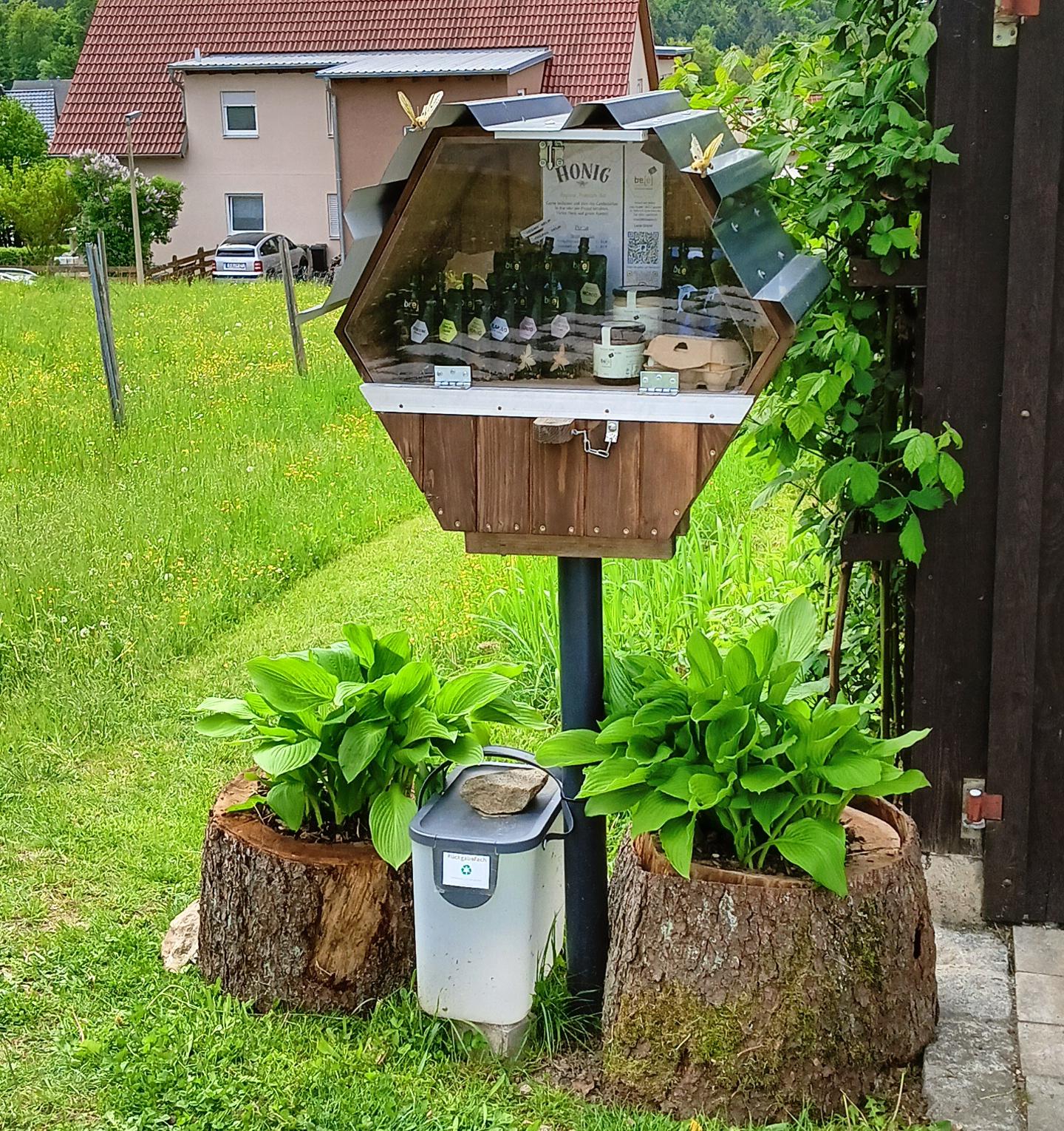 Lena Graml be[e] squeeze - regionaler Honig im Quetschbeutel