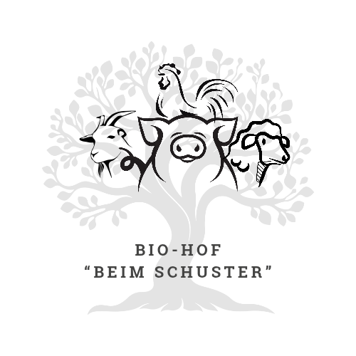 Ludwig Scherm