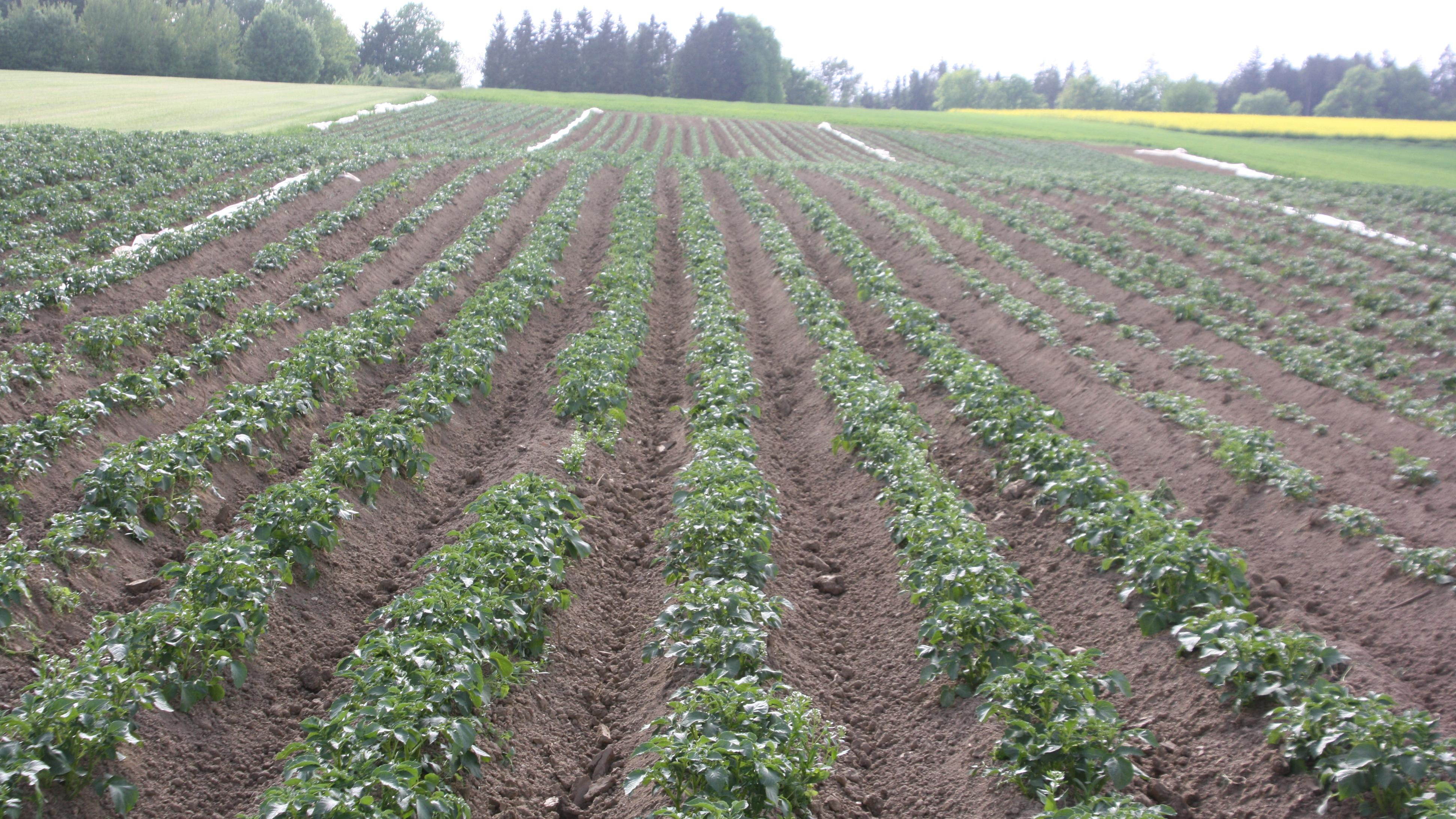 Kühnert   Naturland-Hof