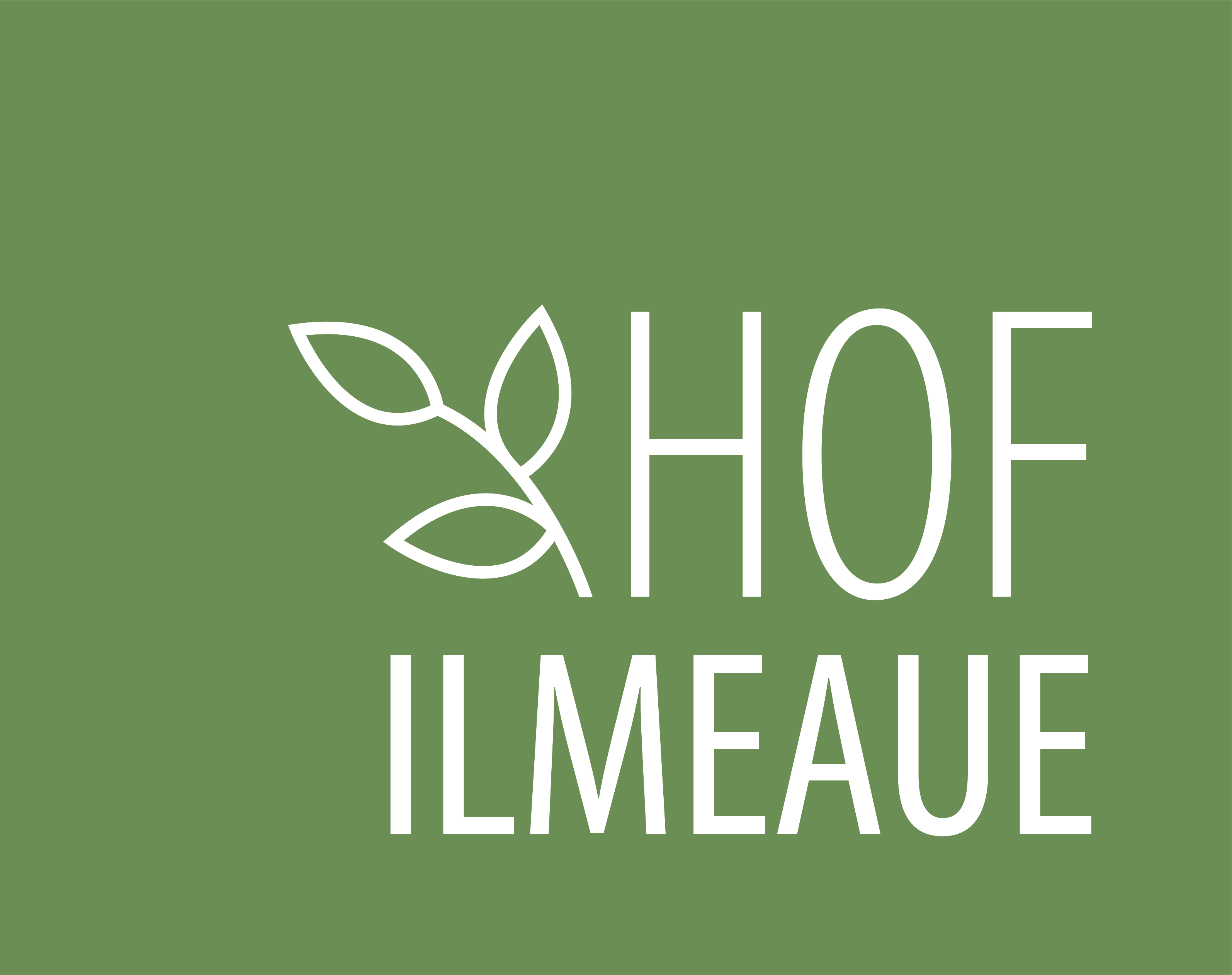 Hof Ilmeaue