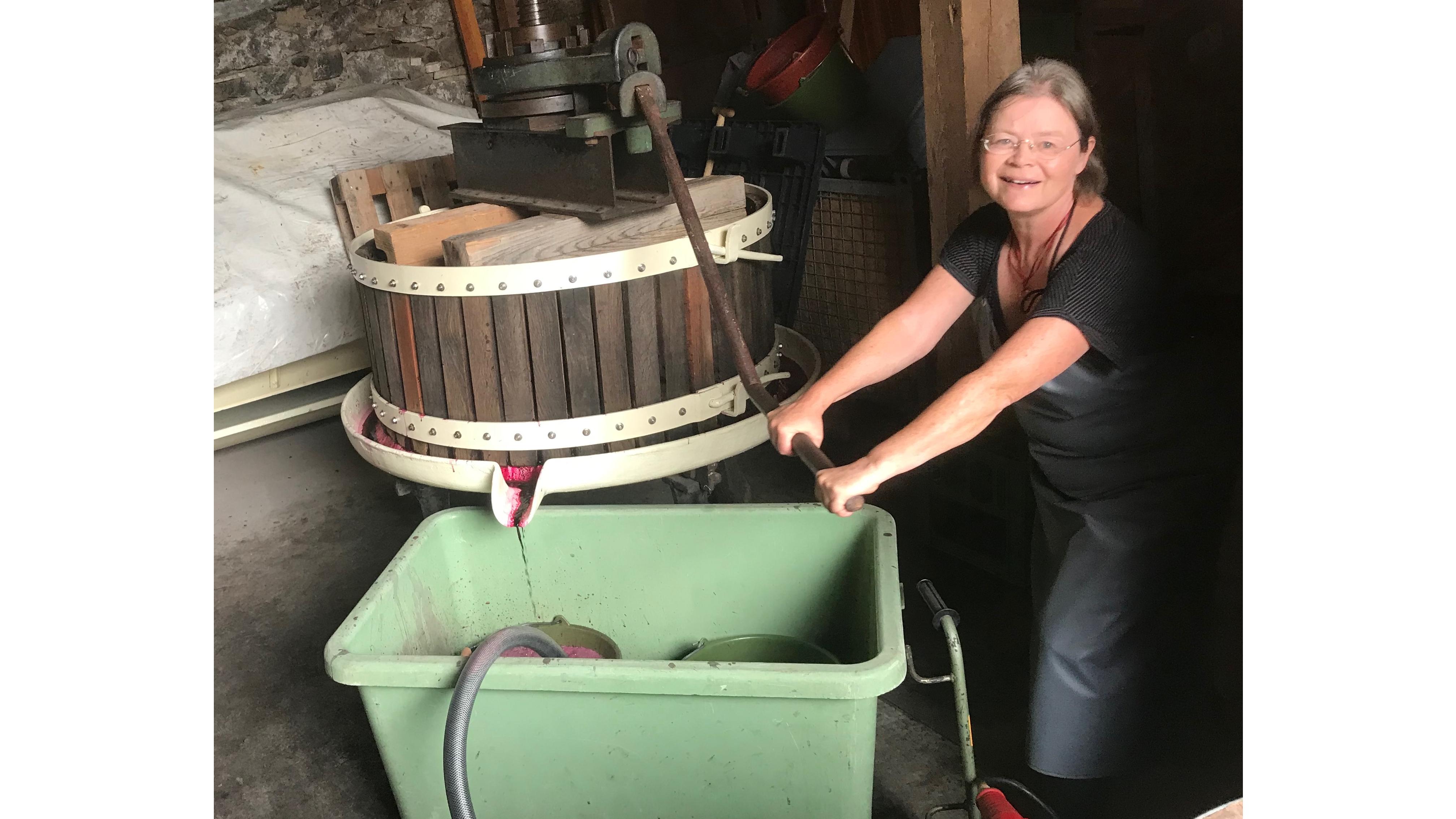 Ökologisches Weingut Rabenhof