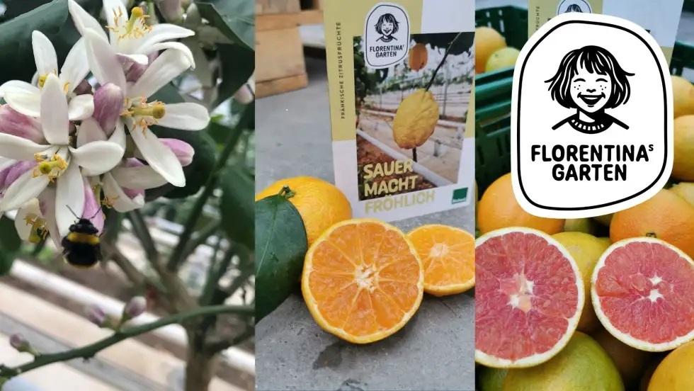 Gartenbau Hagn - Florian Hagn