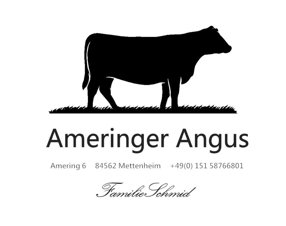 Ameringer Angus