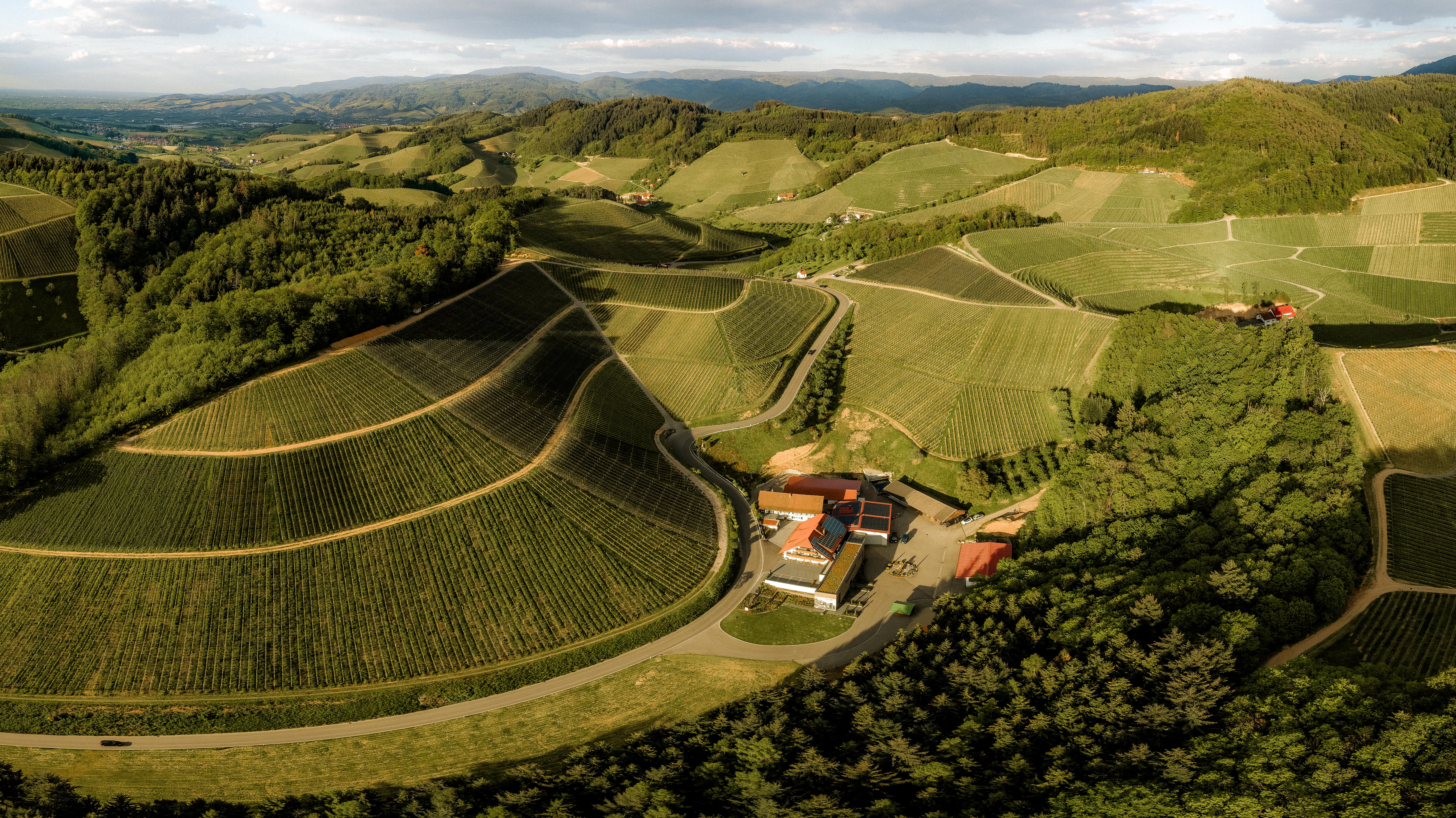 Schwarzwaldweingut Andreas Männle