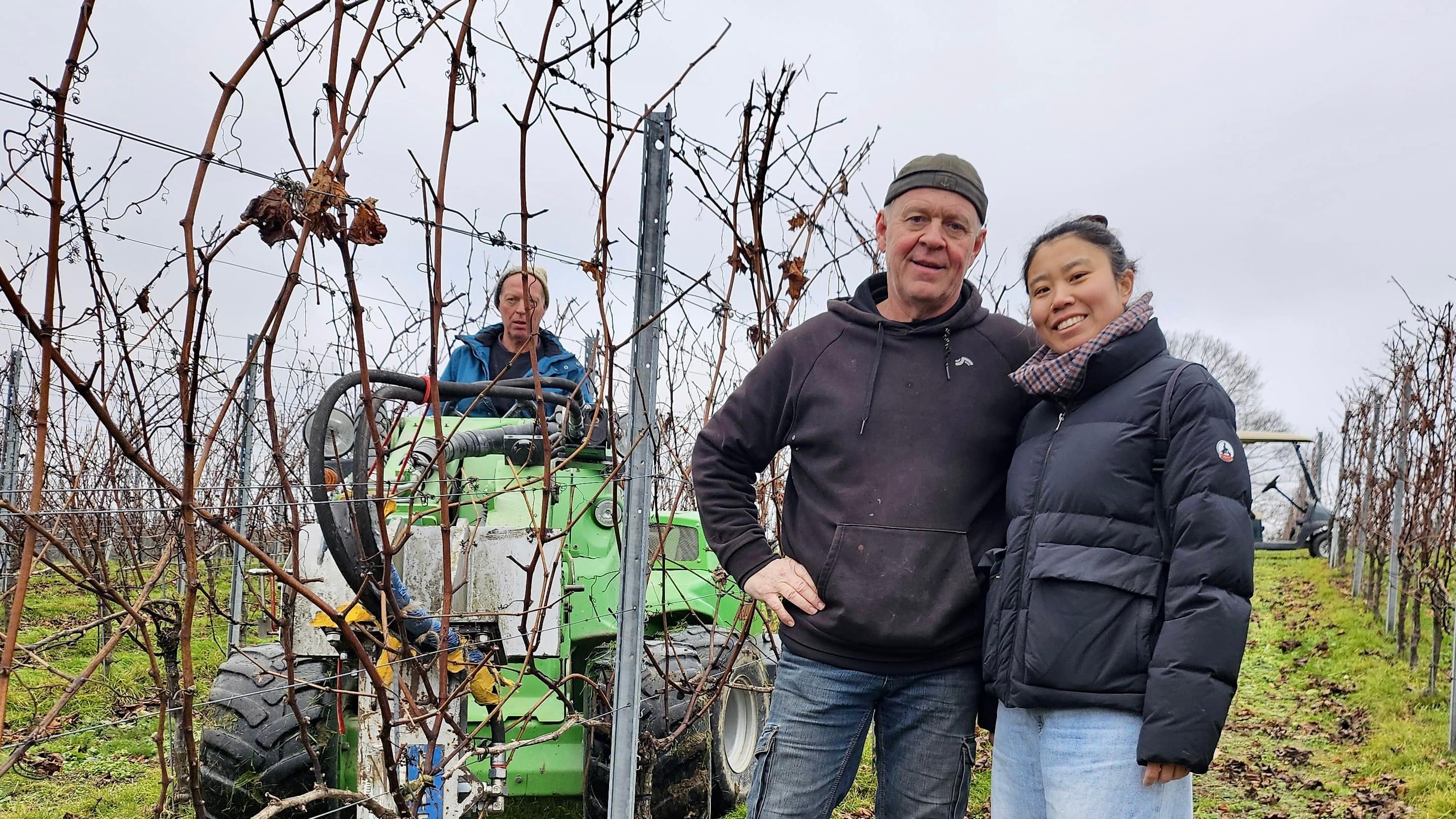 Wenn regionale Netzwerke Wirkung zeigen
