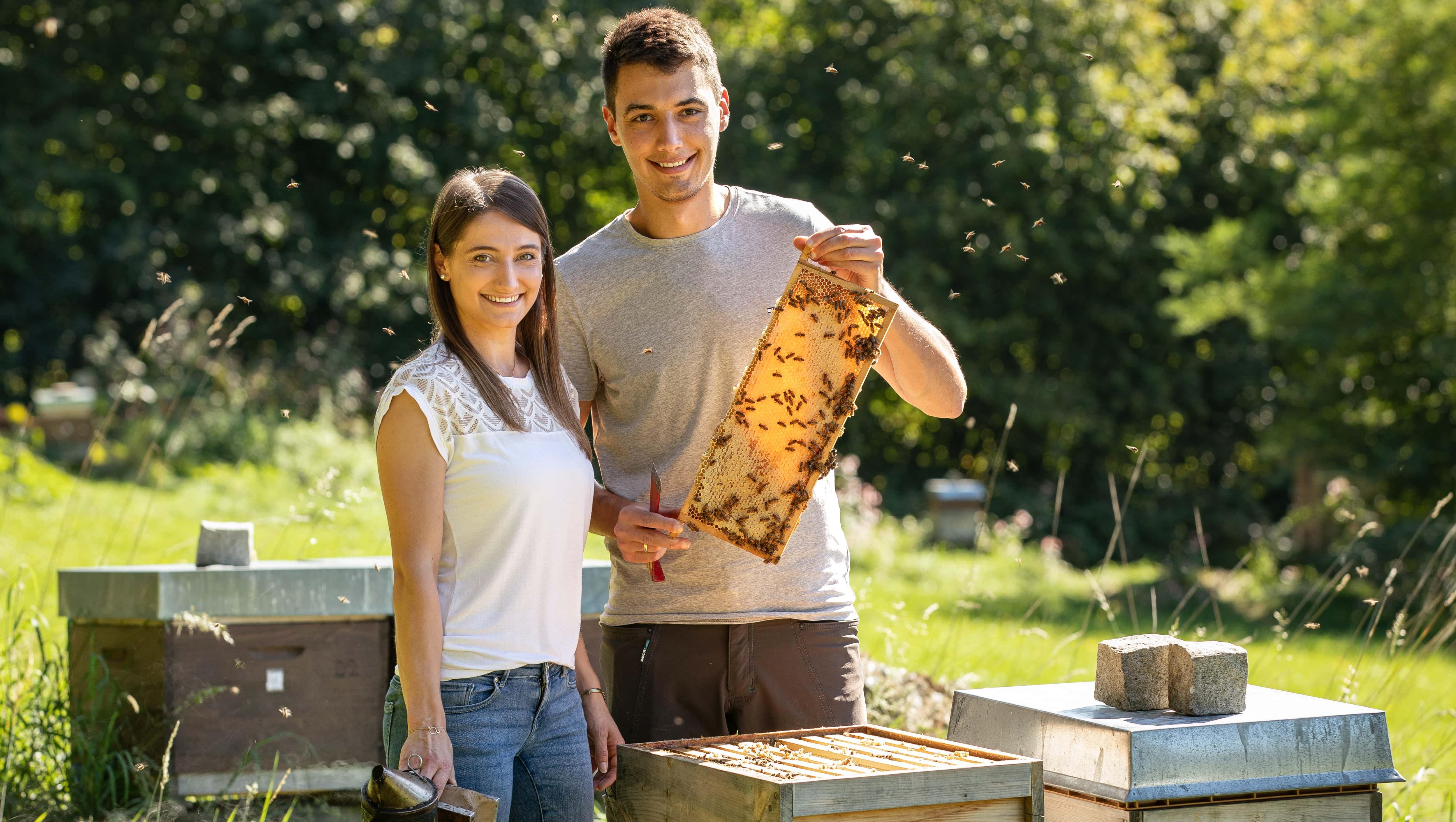 Bienenstockluft-Therapie bei der "Imkerei mit der Goldnote"