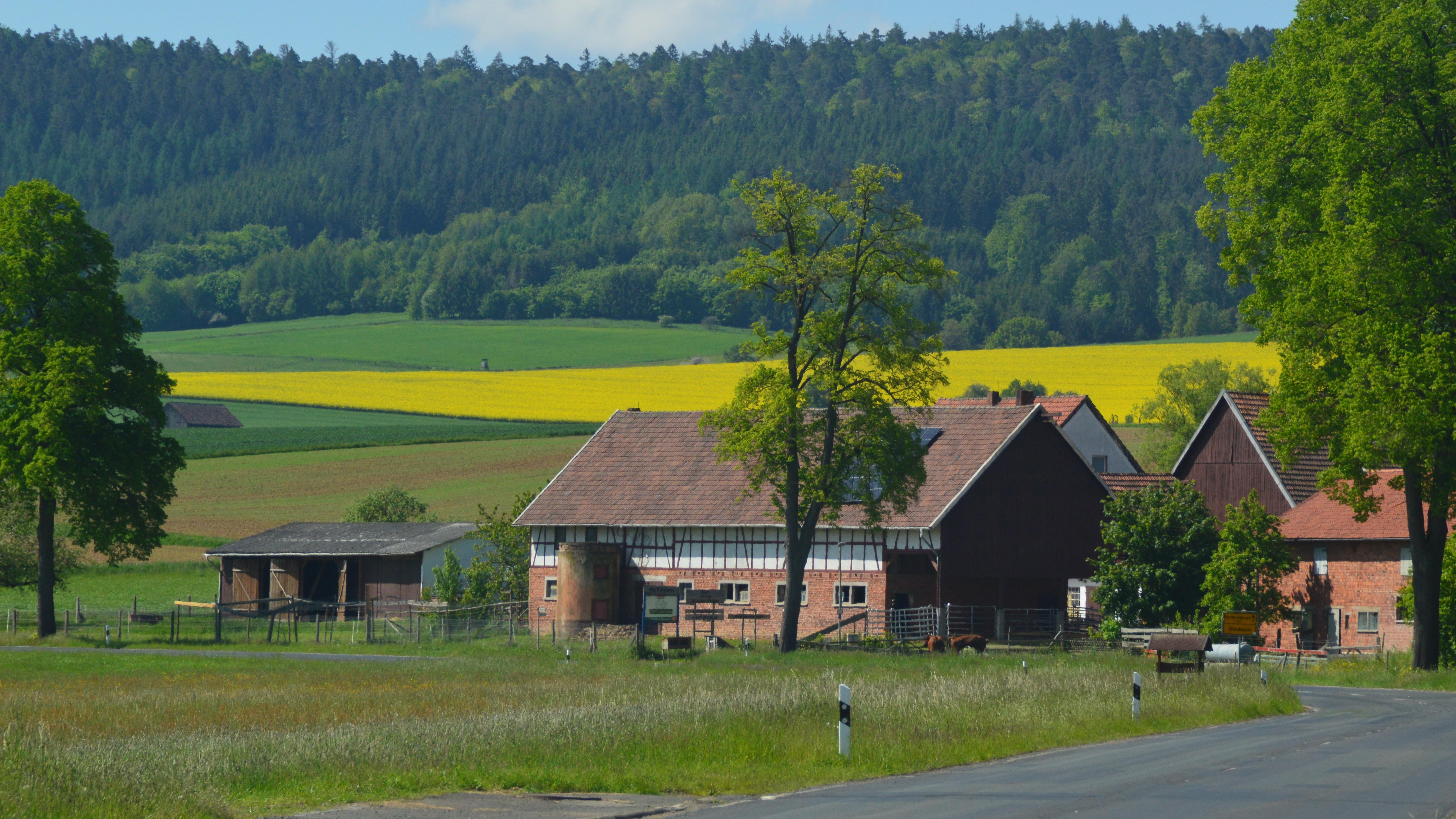 Hof Lorenzen