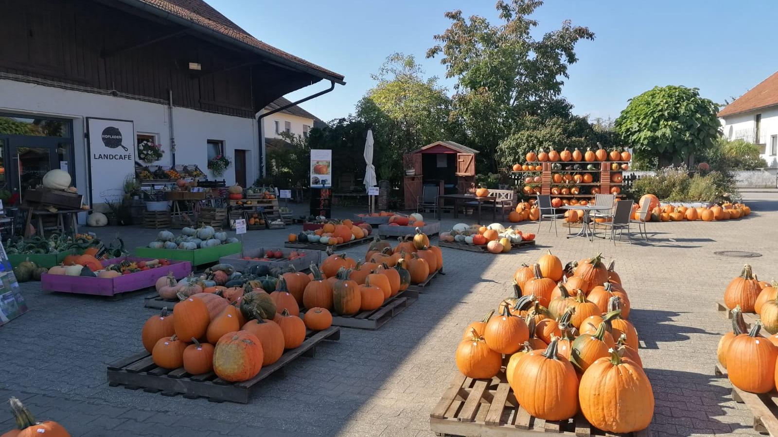 Kürbis &Erlebnisbauernhof Schreyerhof-Atting