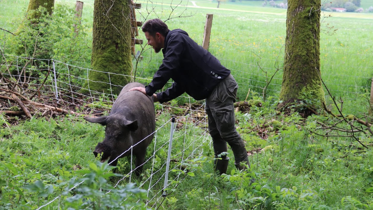 Tradition trifft Genusskultur: Ibérico-Zucht am Bauernschmiedhof