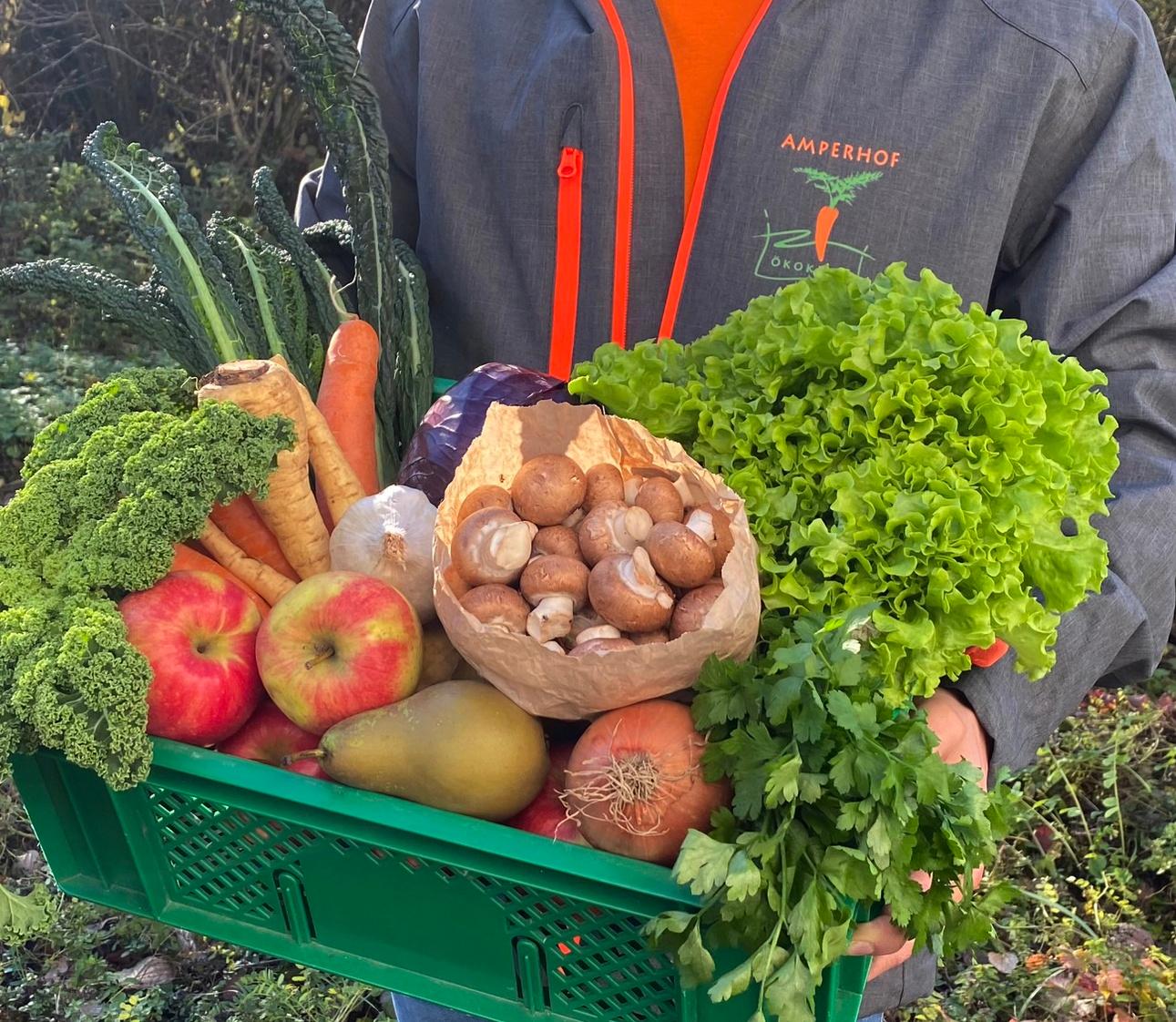 Amperhof Ökokiste GmbH & Co. KG