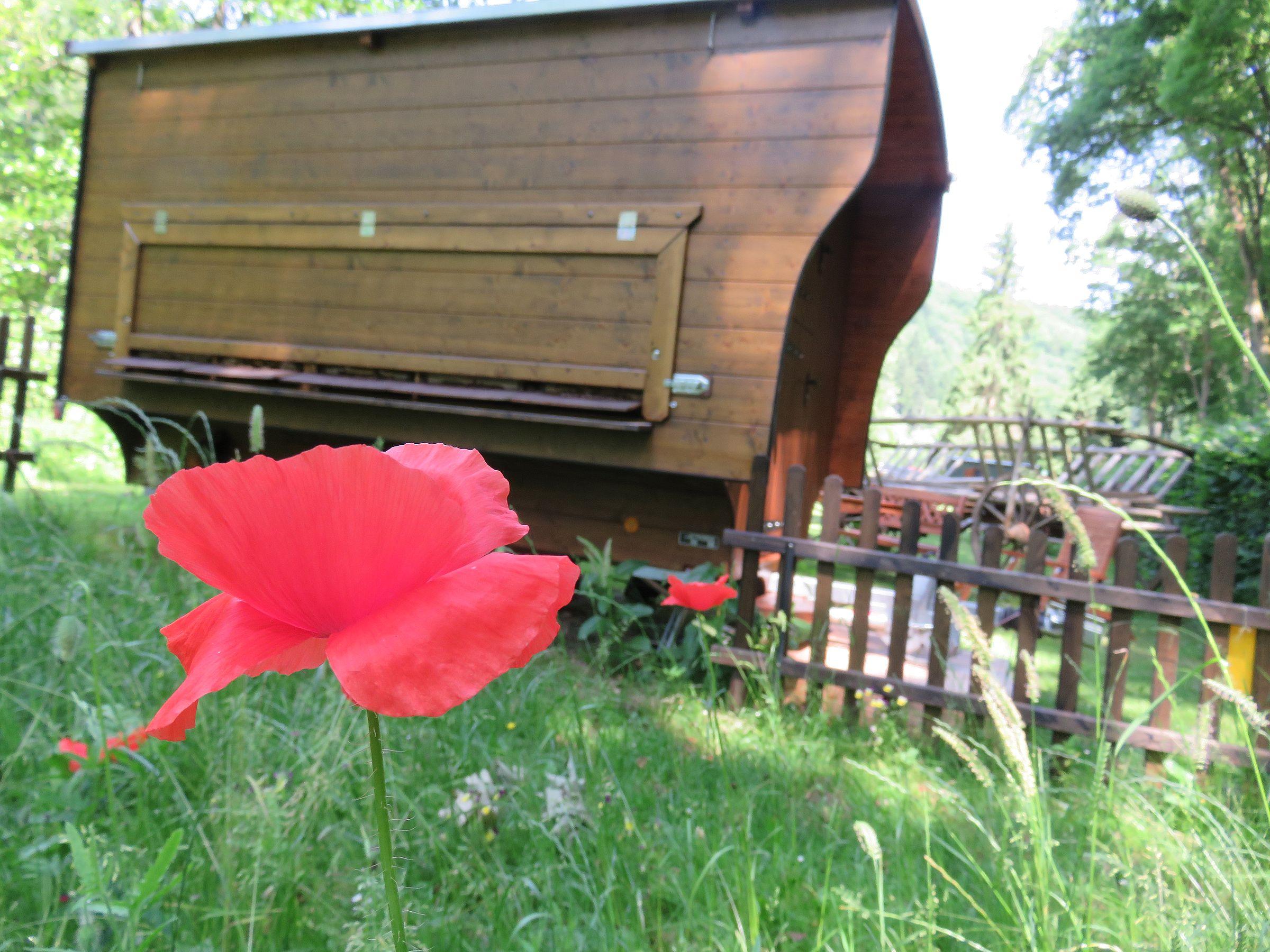 Bienenwagen Wildberg