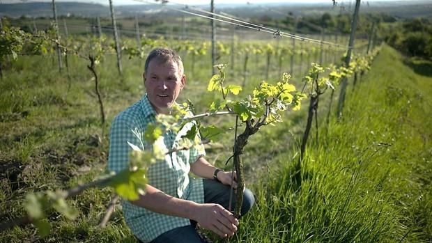 Bioweingut Häußermann