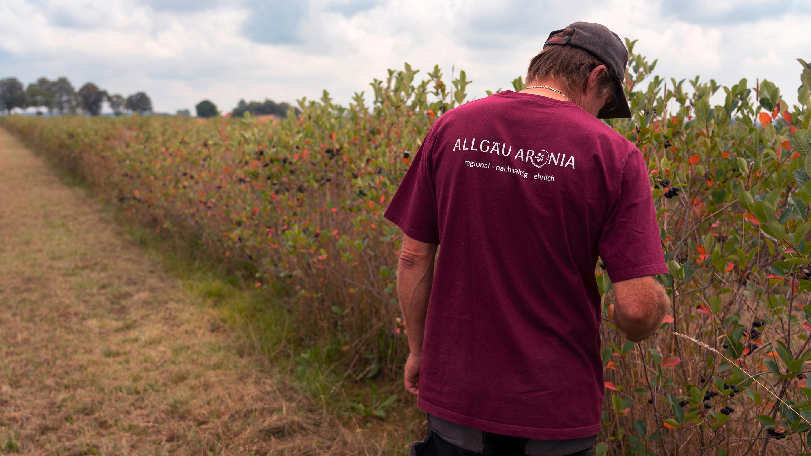 Allgäu Aronia