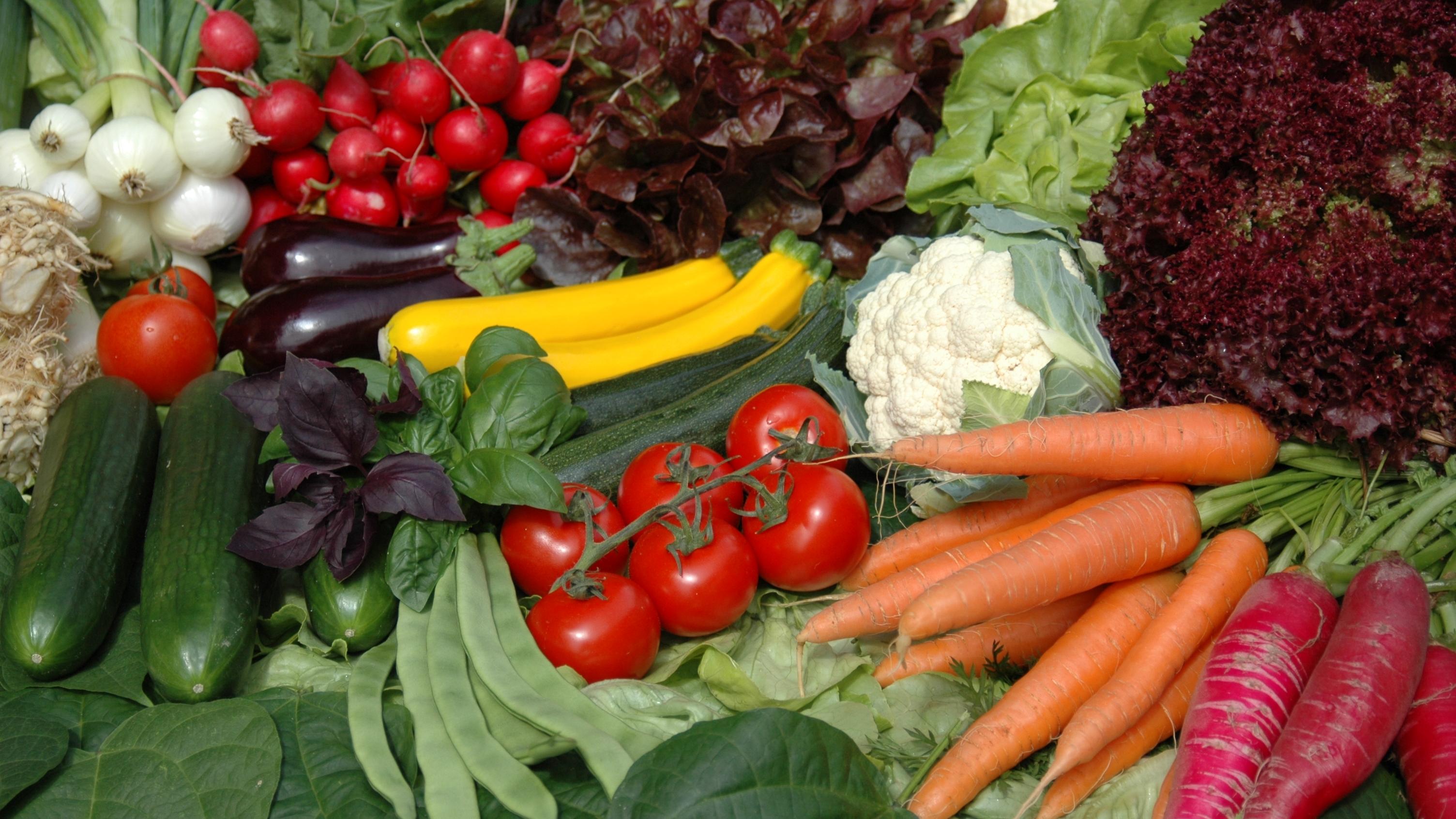 Duventäster-Maier Gemüse & Bunte Vielfalt