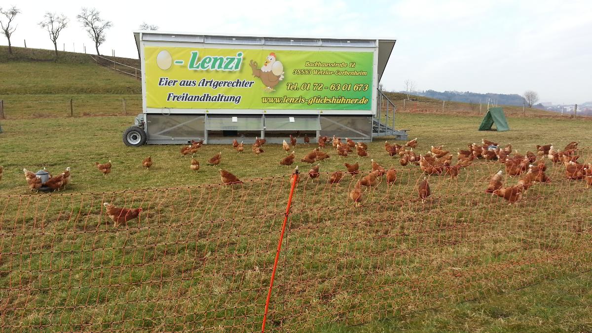 Hofladen Lenzis Glückshühner | Regiothek