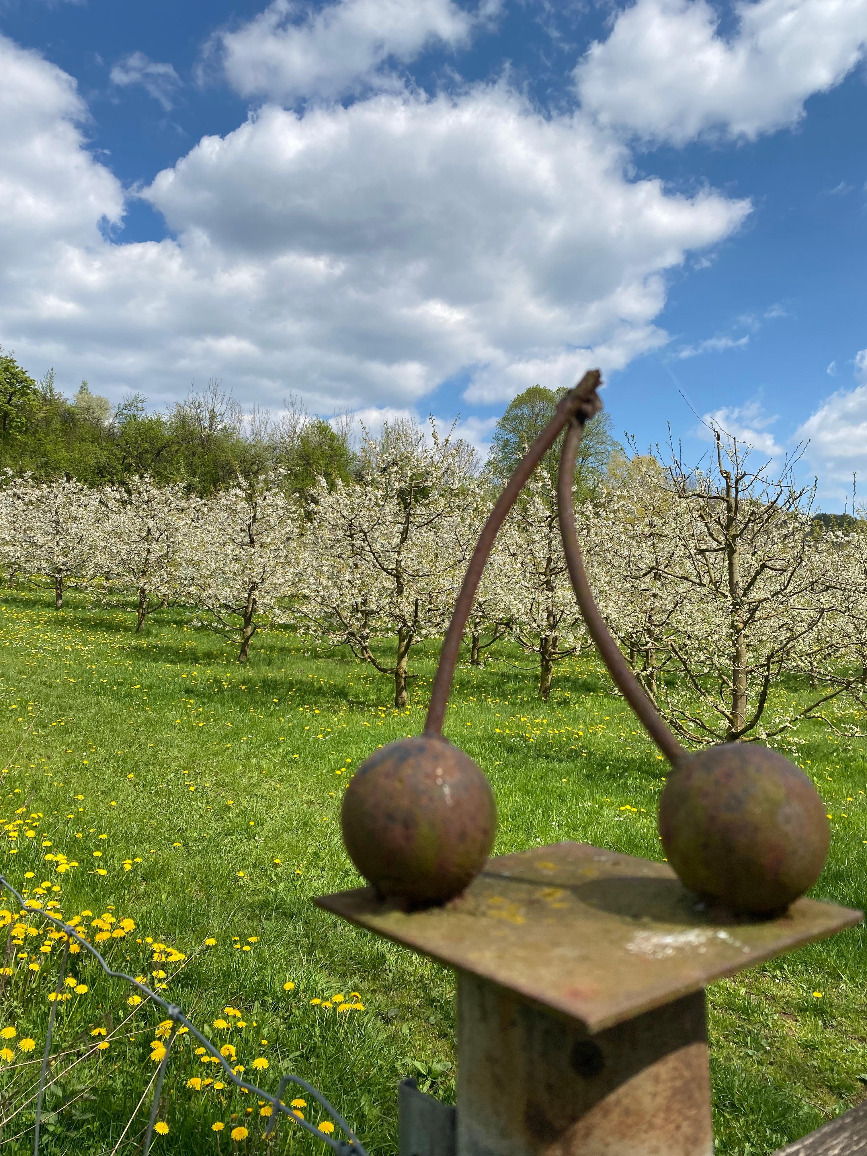 Obstbrennerei & Obstbau Polster