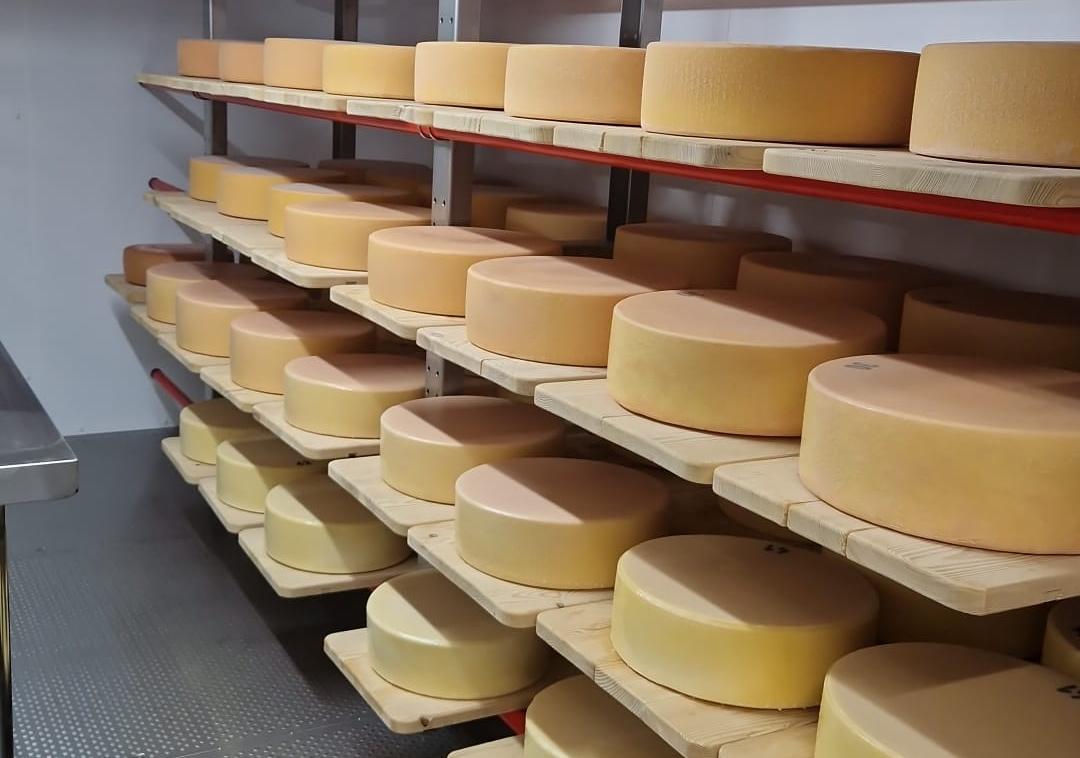 Mobile Käserei Michael Staudacher